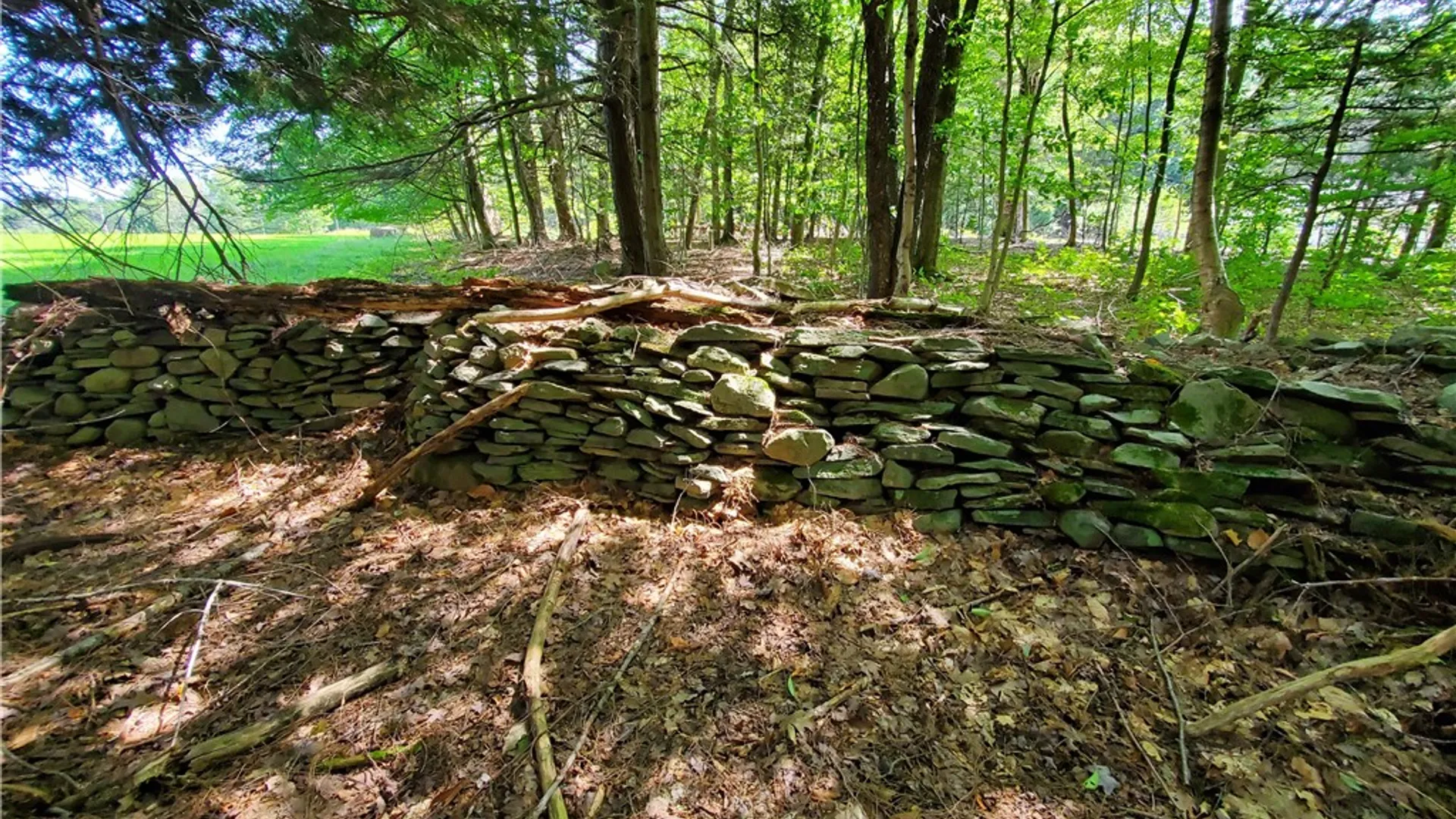 Property at Lot 10 Bull Hill Road, Conesville, NY 12076 17