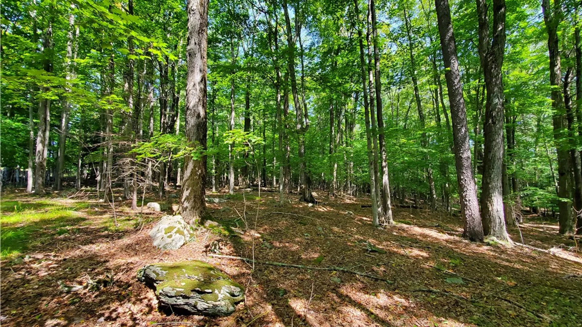 Property at Lot 10 Bull Hill Road, Conesville, NY 12076 19