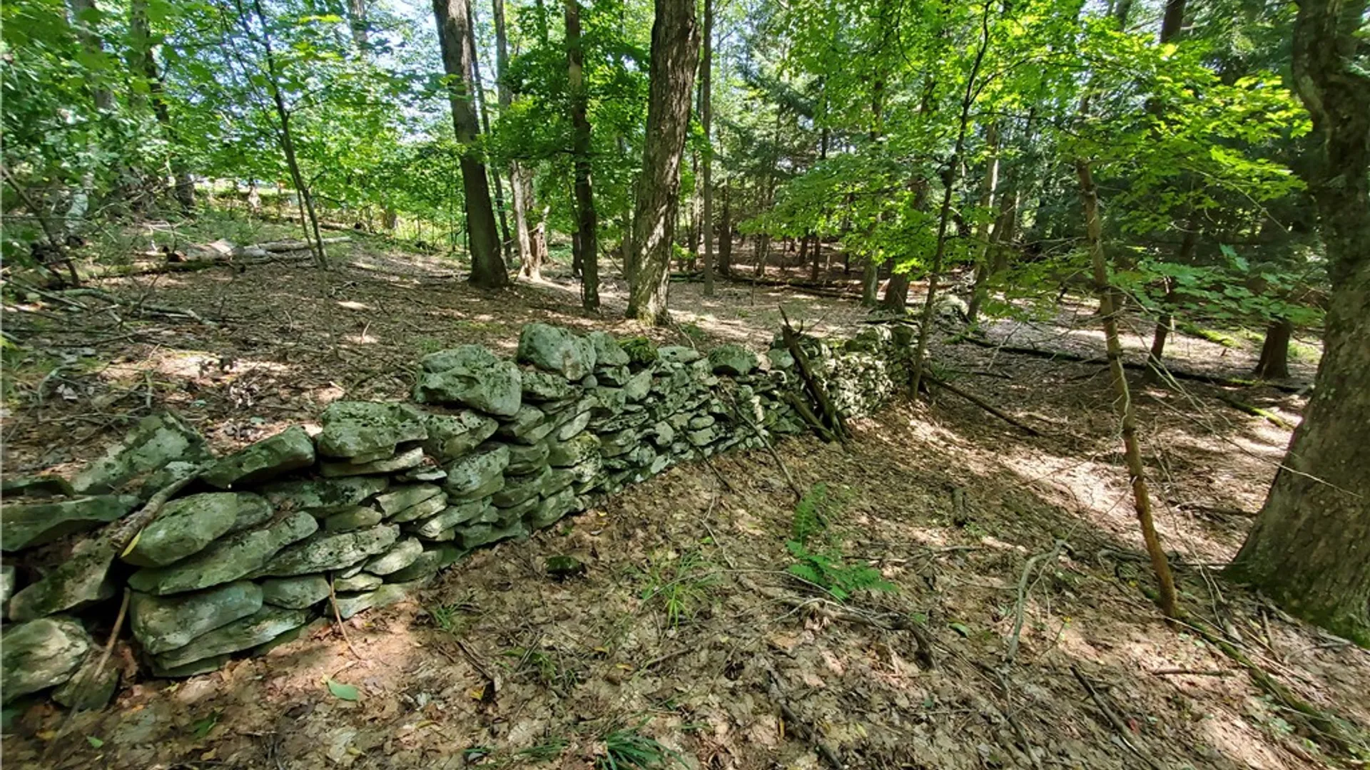 Property at Lot 10 Bull Hill Road, Conesville, NY 12076 23