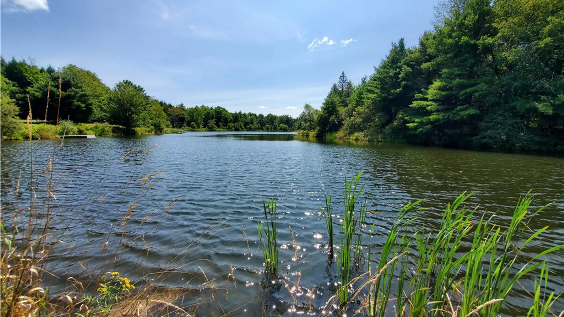 Property at Lot 10 Bull Hill Road, Conesville, NY 12076 28