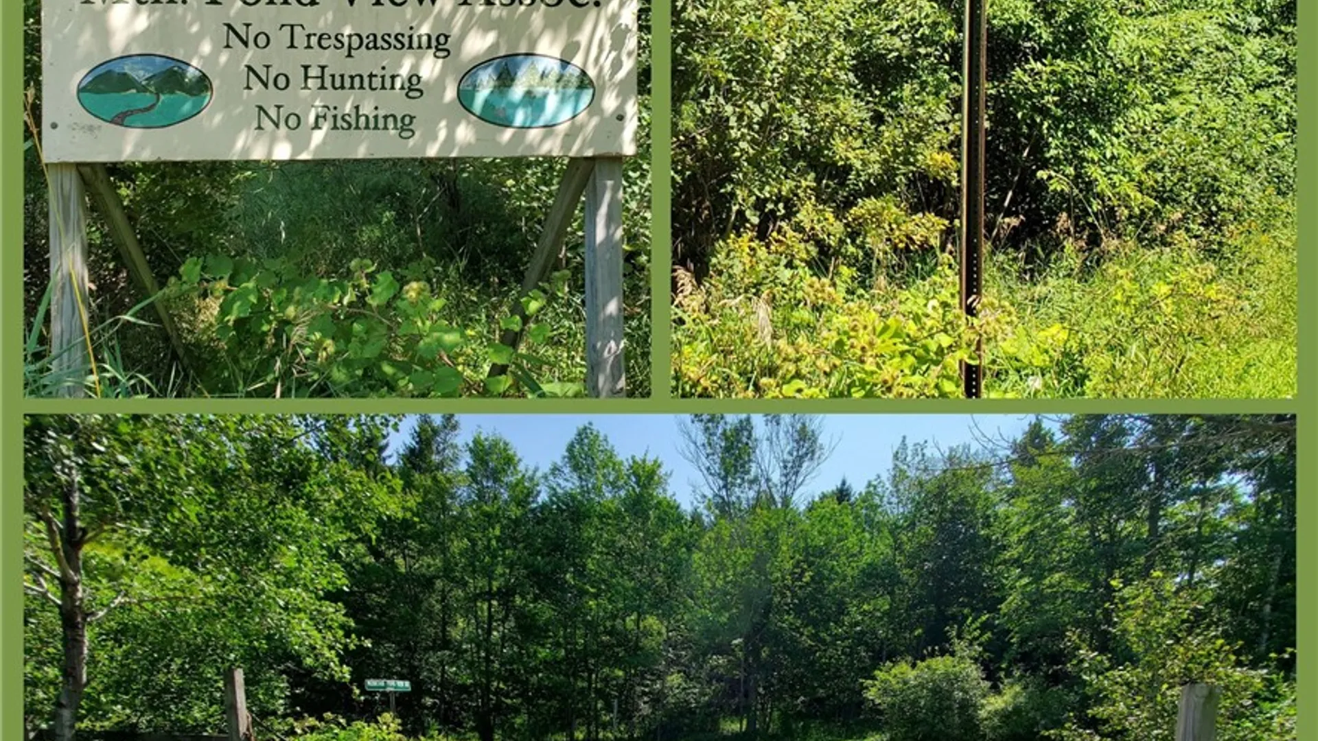 Property at Lot 10 Bull Hill Road, Conesville, NY 12076 6