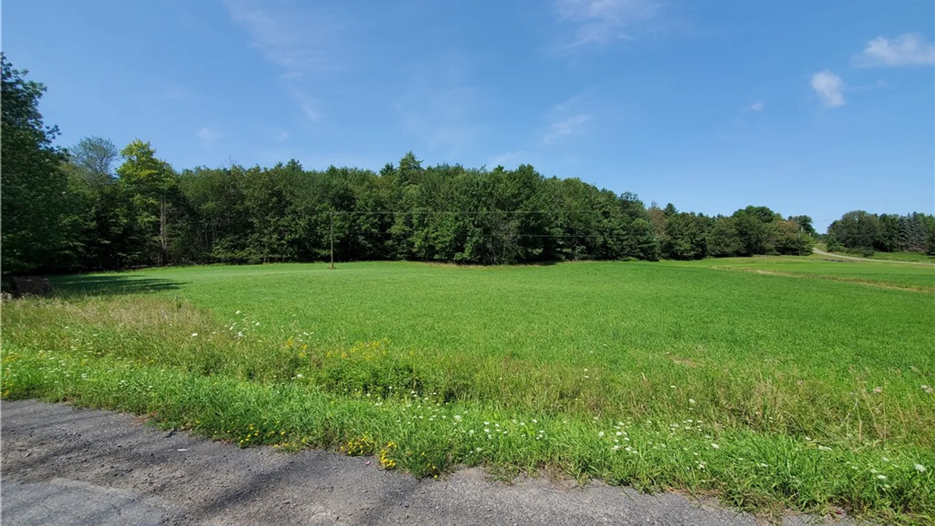 Property at Lot 10 Bull Hill Road, Conesville, NY 12076 8