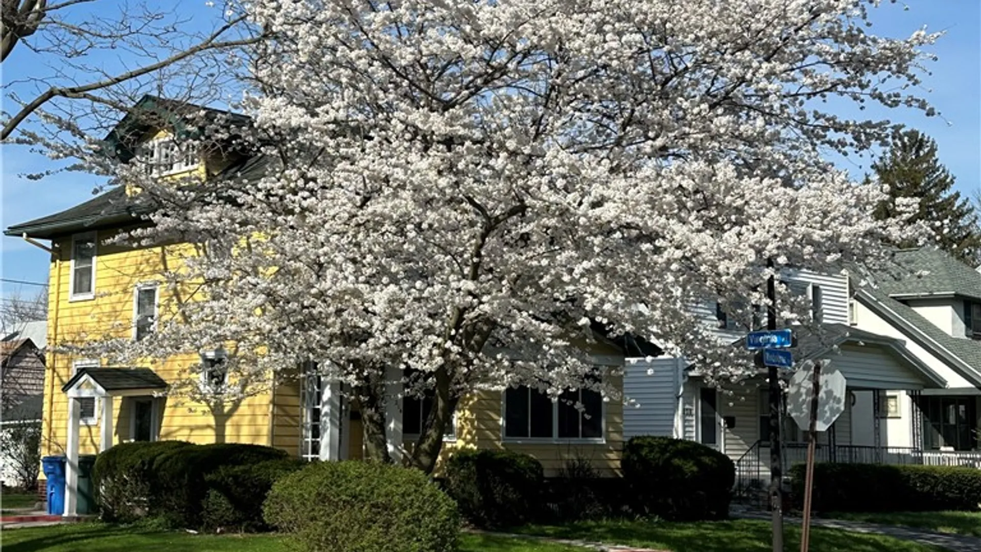 Property at 214 Winbourne Road, Rochester, NY 14619 37