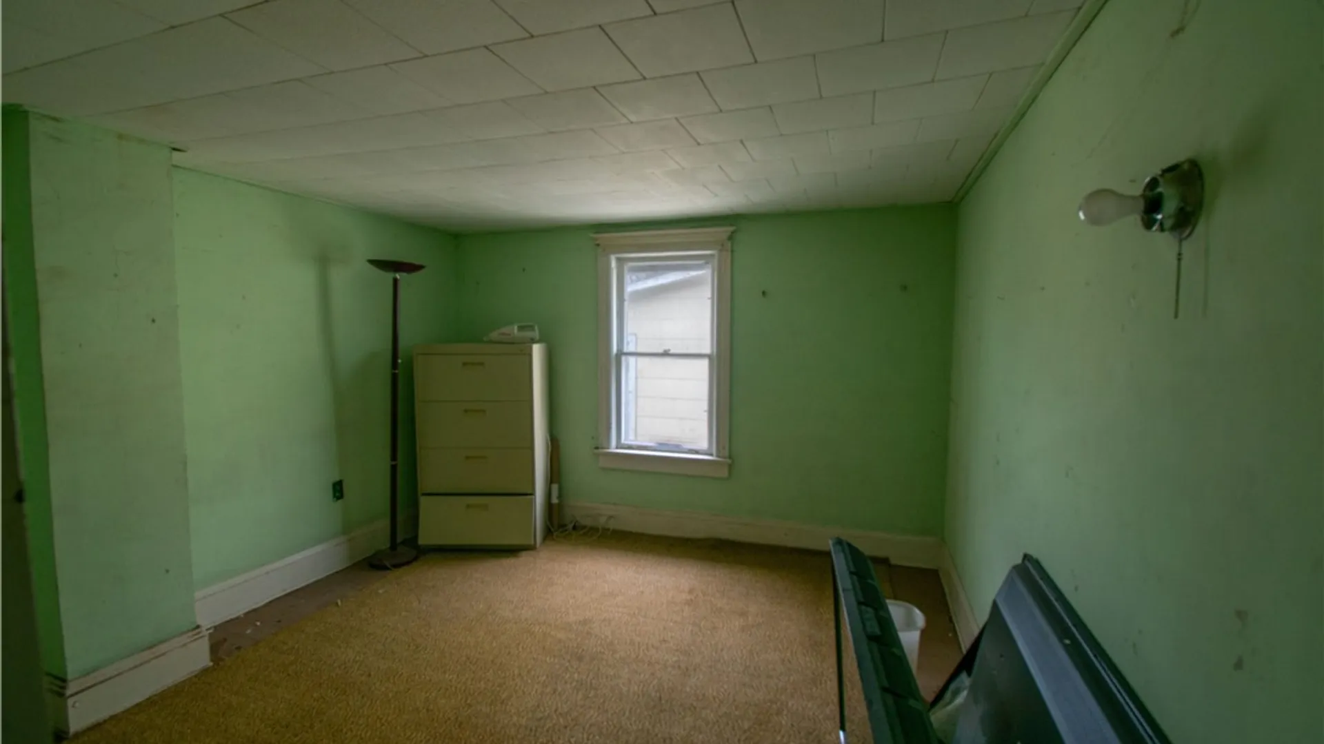Property at 67 Angelo Street, Geneva City, NY 14456 29
