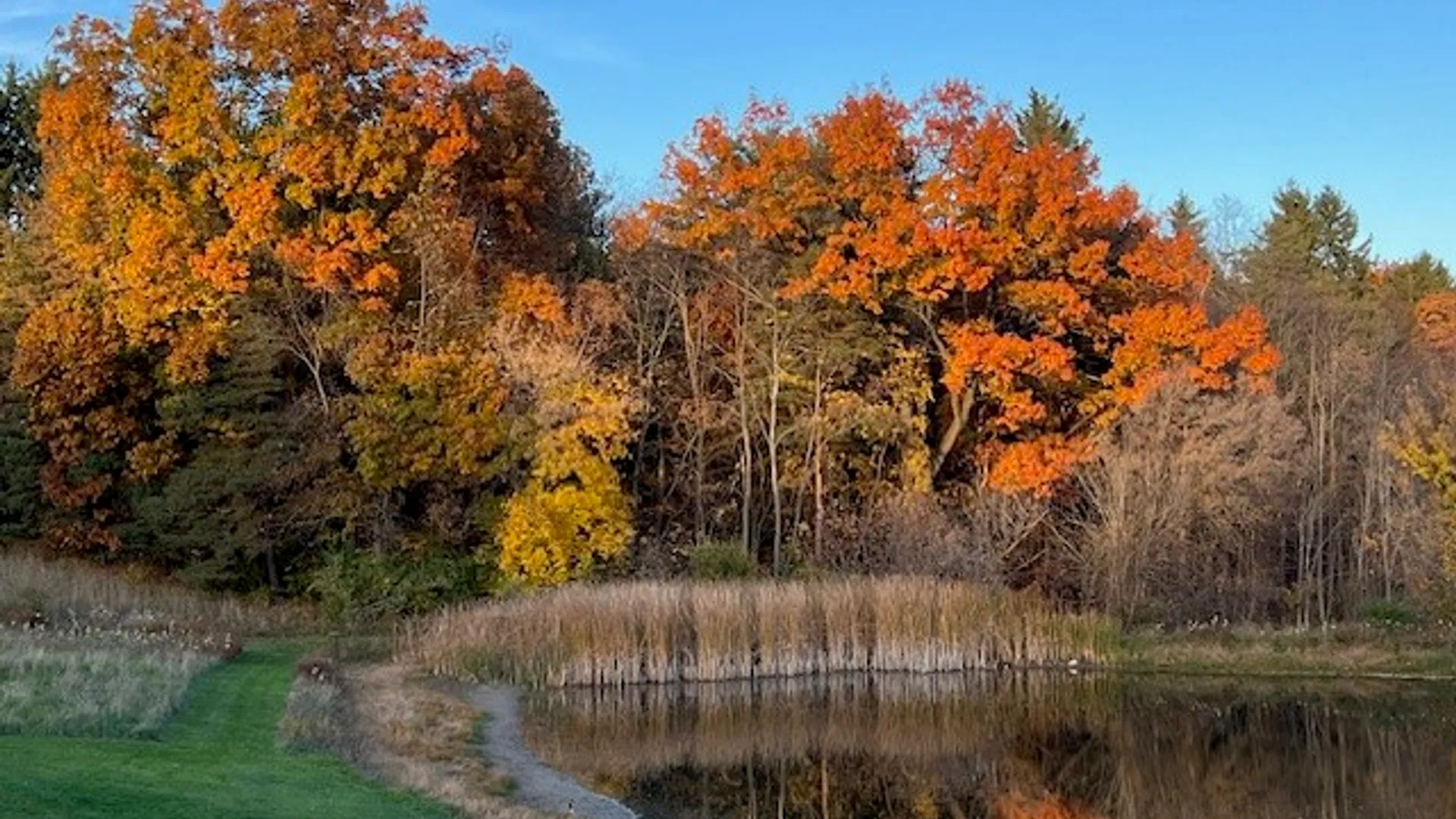 Property at 7340 Dryer Road, Victor, NY 14564 41