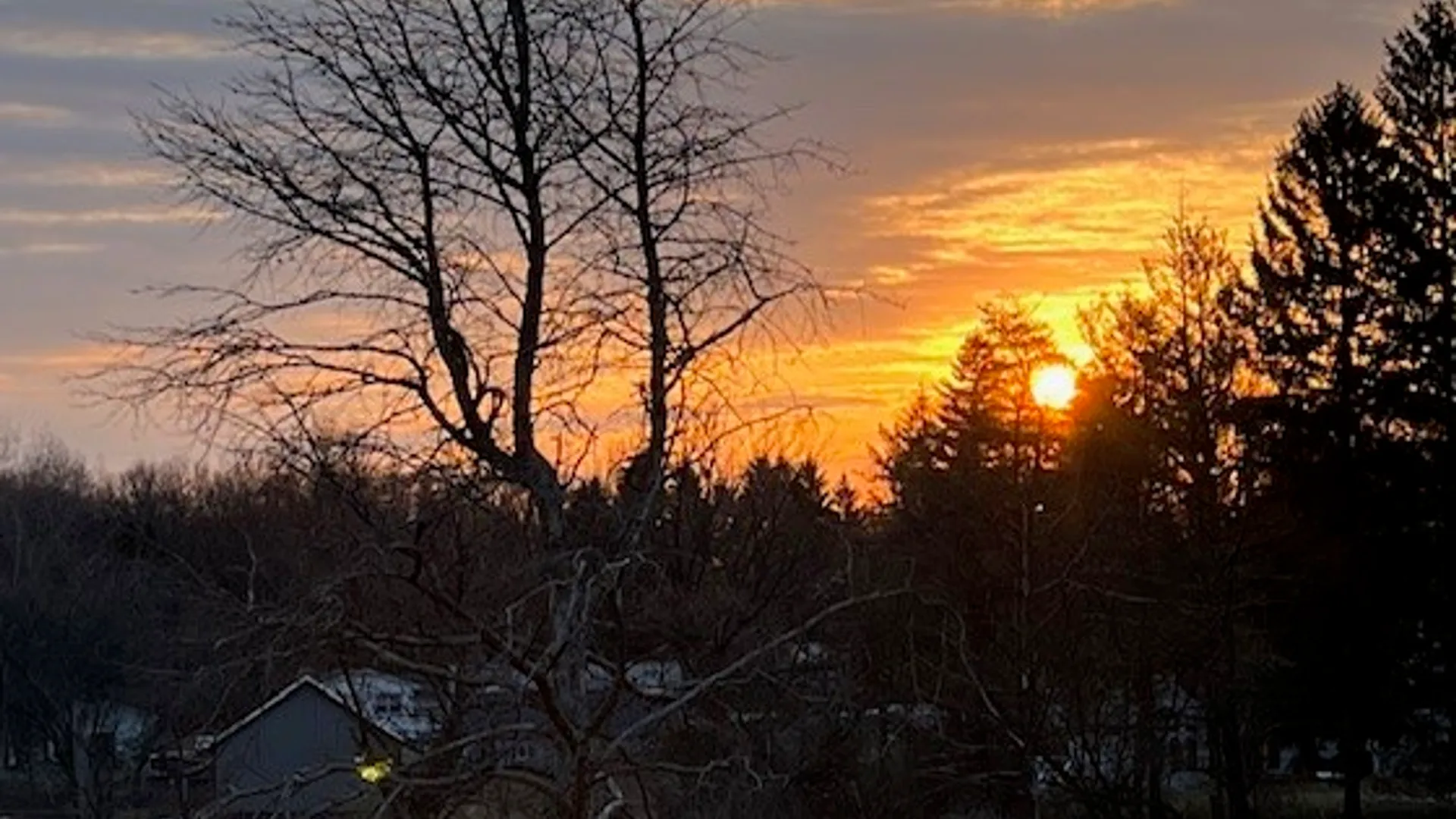 Property at 7340 Dryer Road, Victor, NY 14564 45