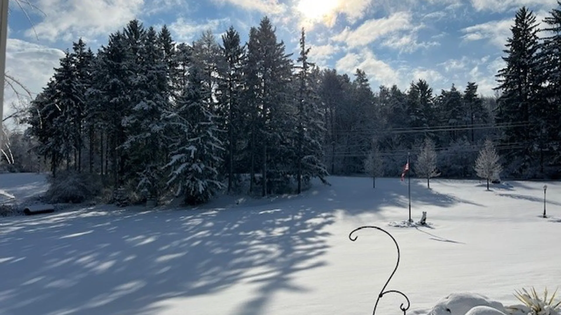 Property at 7340 Dryer Road, Victor, NY 14564 46