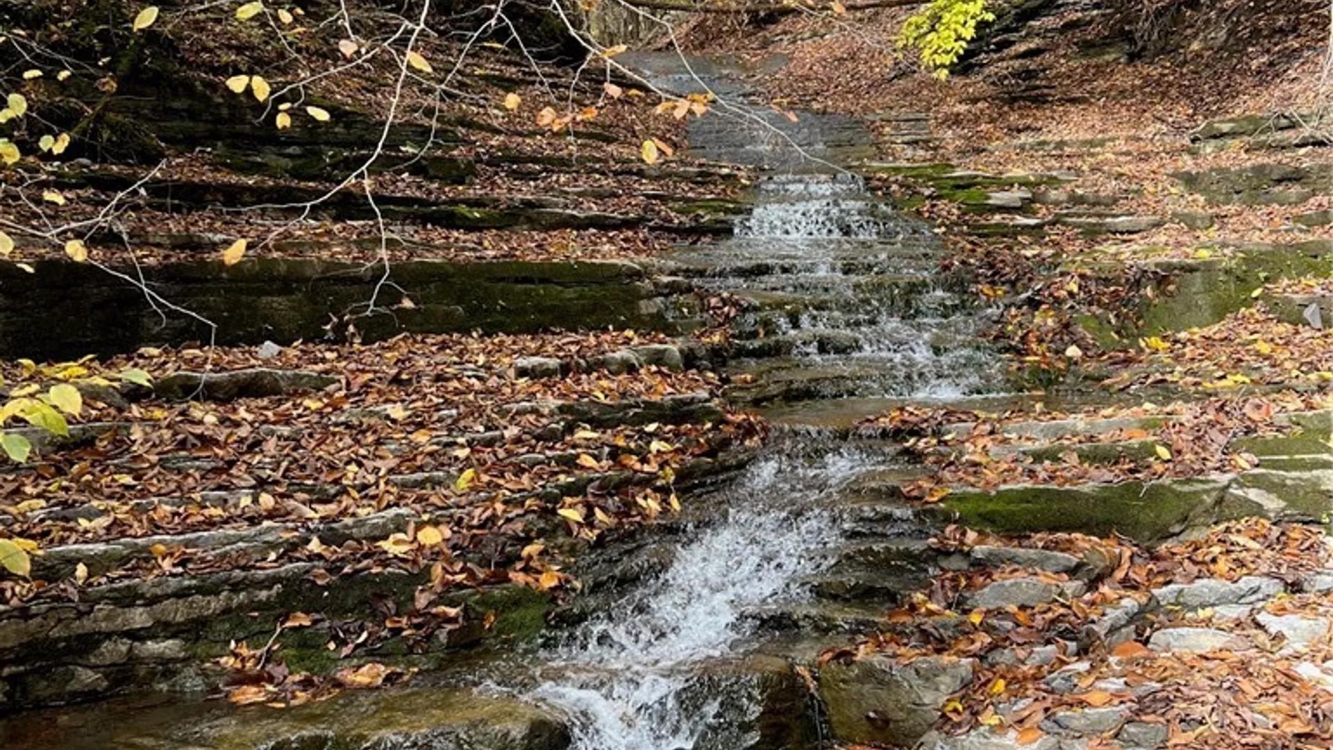 Property at 3883 State Route 28, Herkimer, NY 13350 12