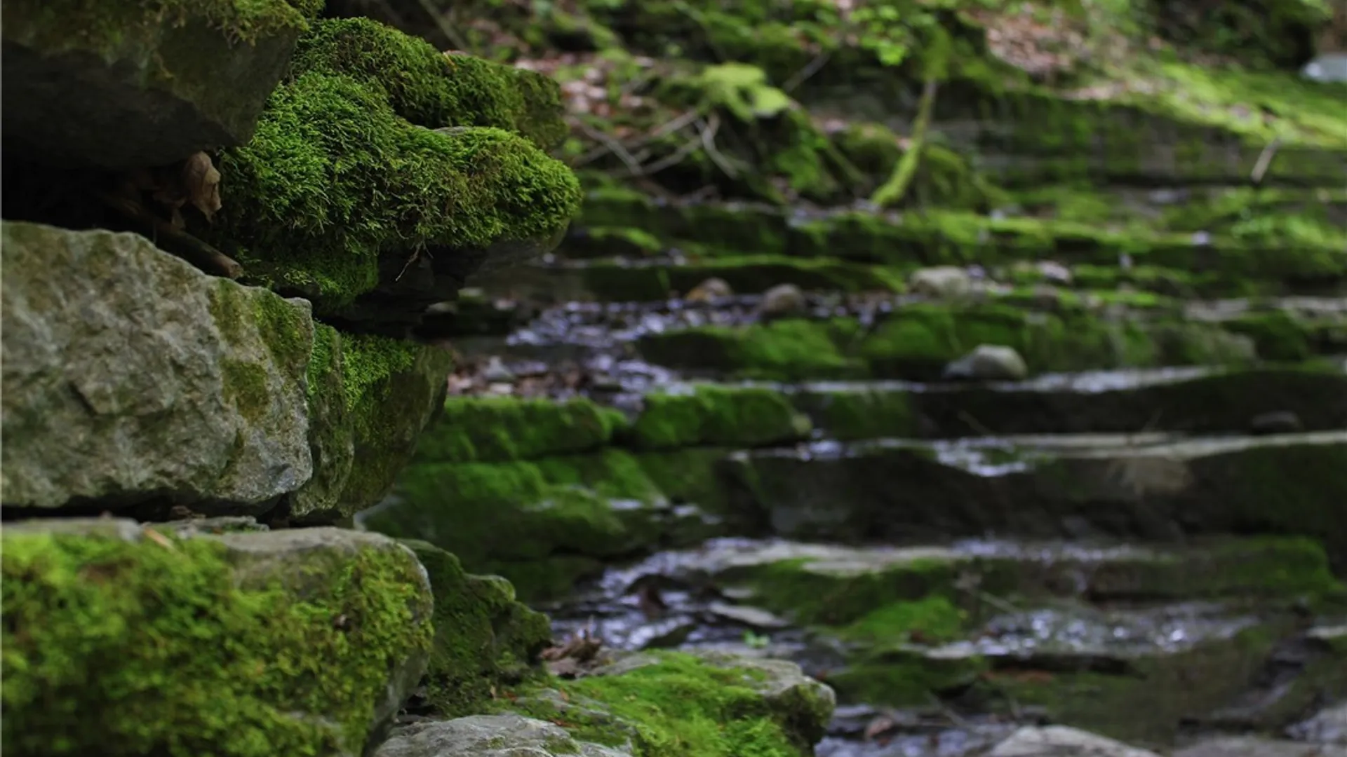 Property at 3883 State Route 28, Herkimer, NY 13350 13