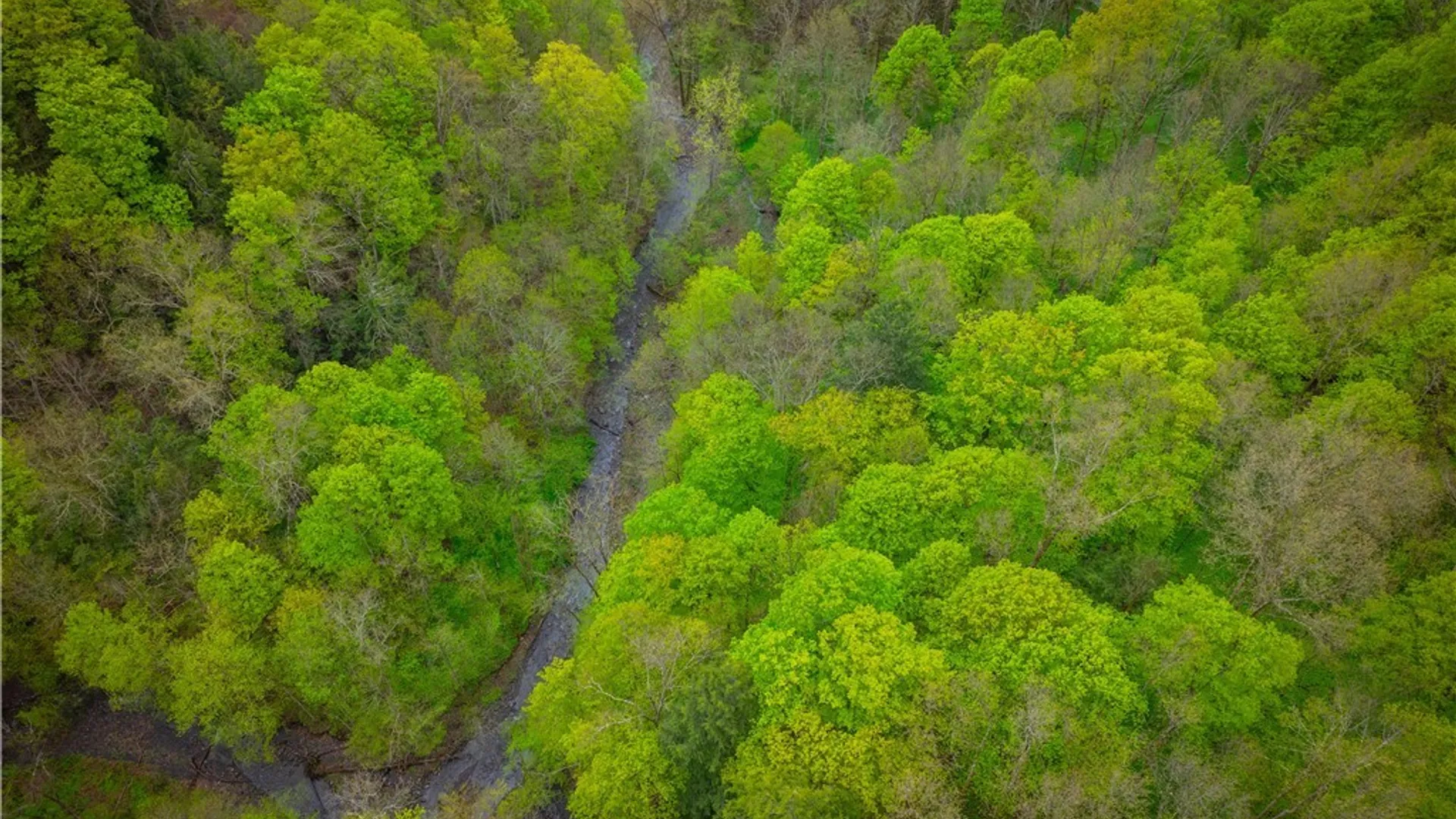 Property at 3883 State Route 28, Herkimer, NY 13350 29