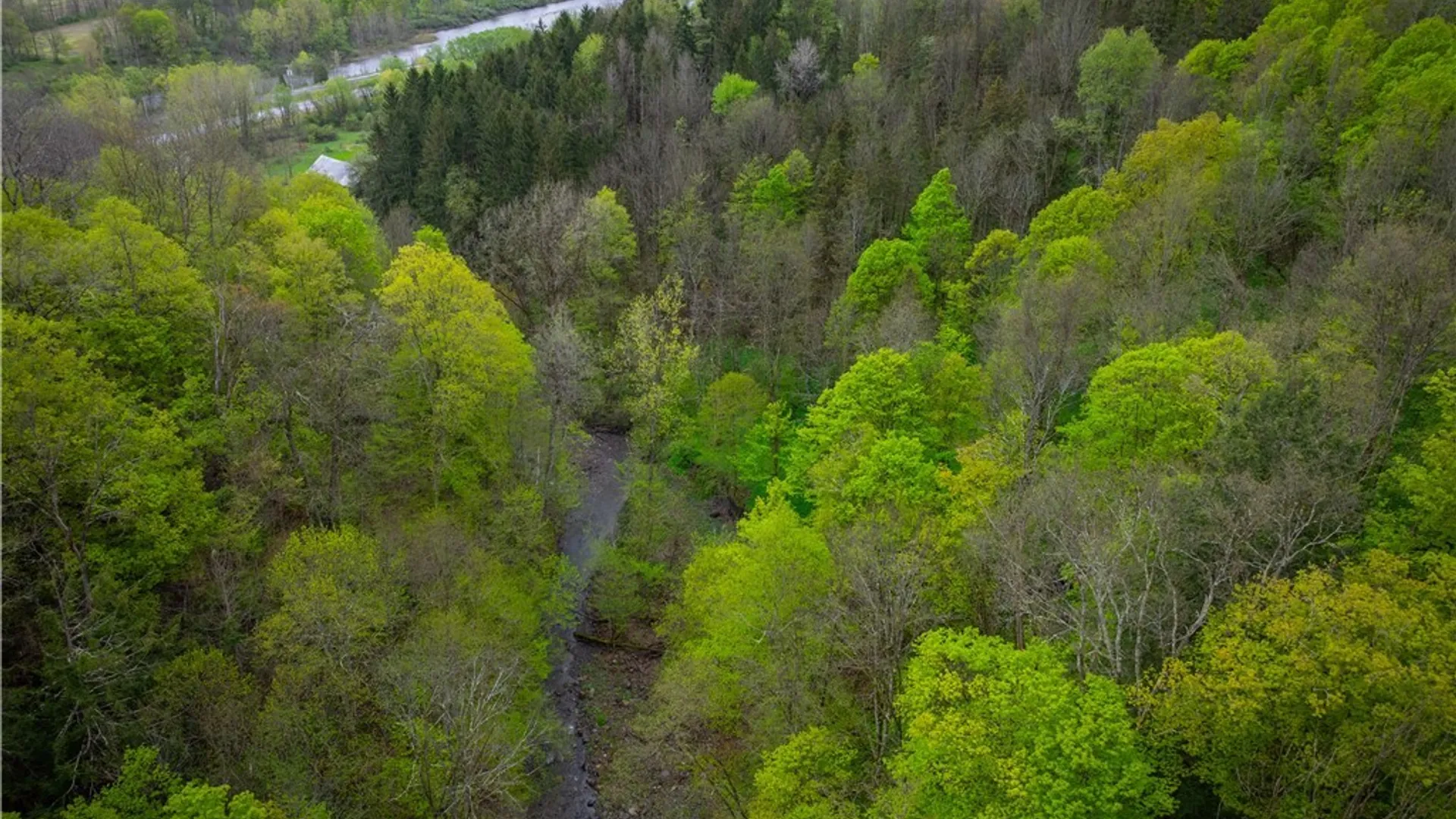 Property at 3883 State Route 28, Herkimer, NY 13350 30