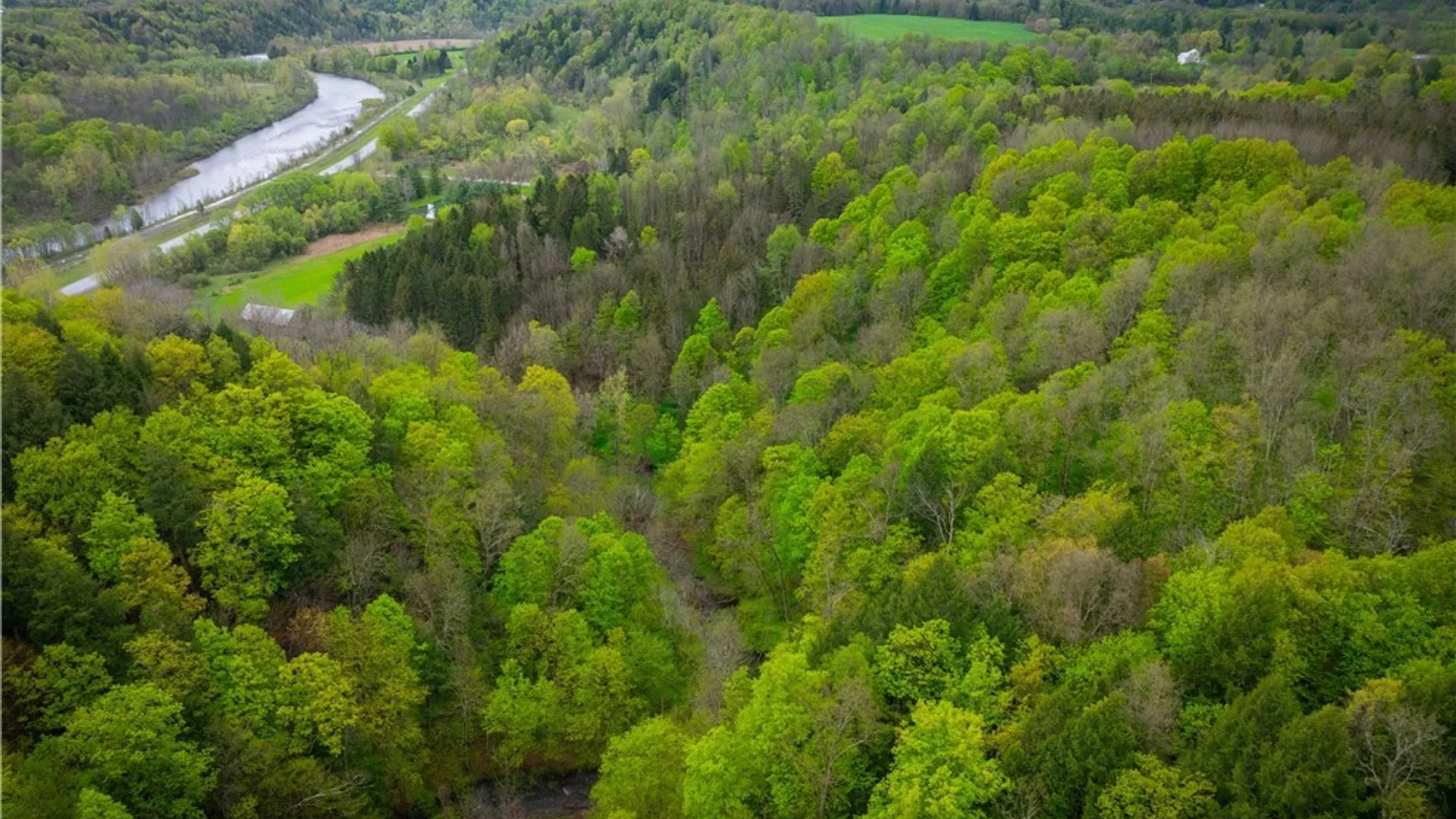 Property at 3883 State Route 28, Herkimer, NY 13350 32