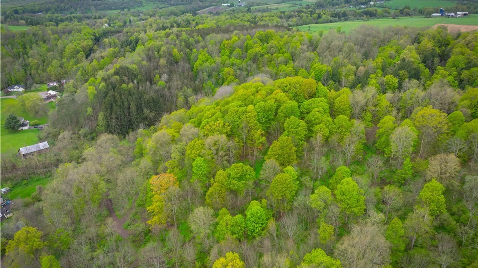 Property at 3883 State Route 28, Herkimer, NY 13350 33