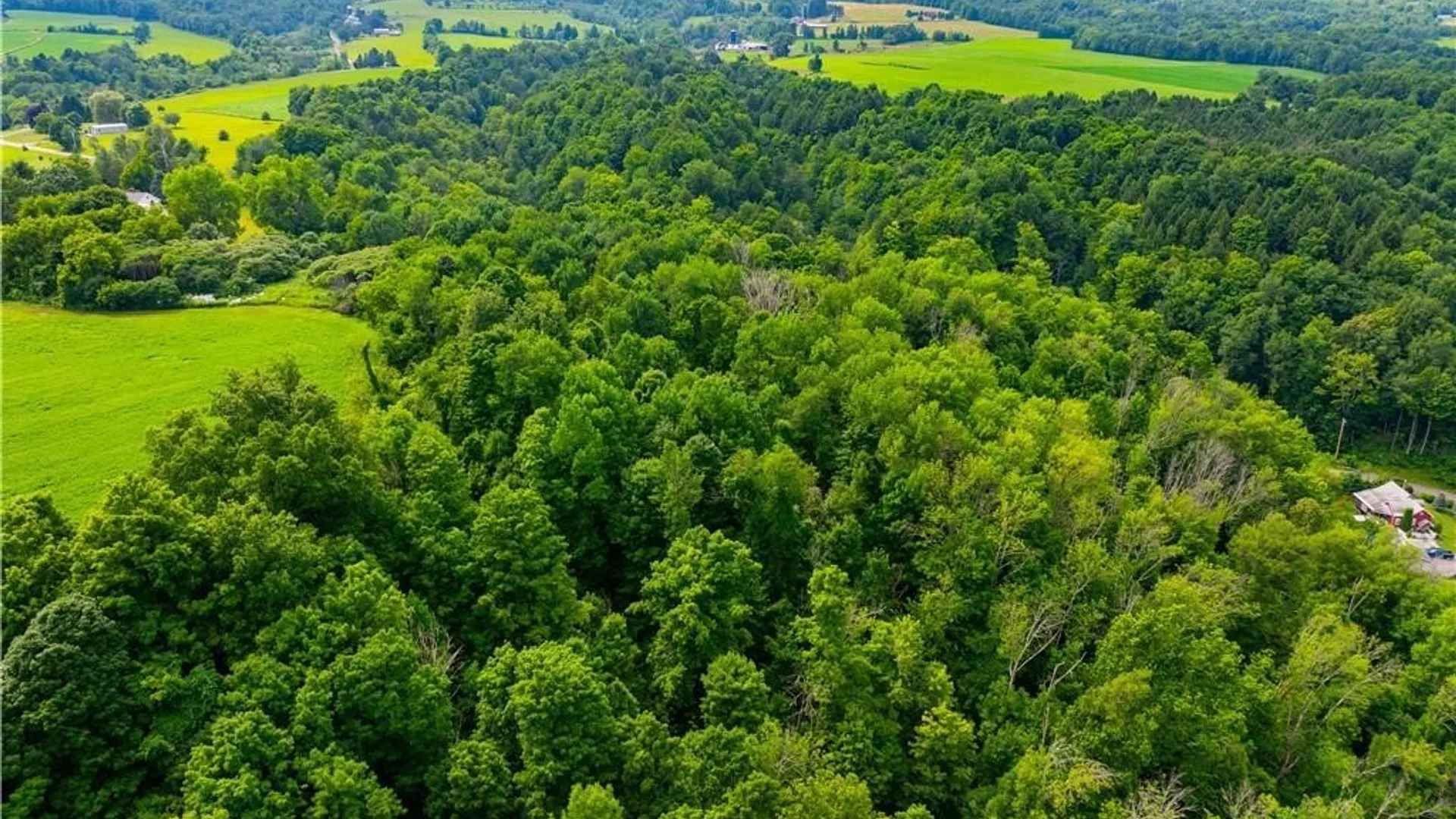 Property at 3883 State Route 28, Herkimer, NY 13350 39