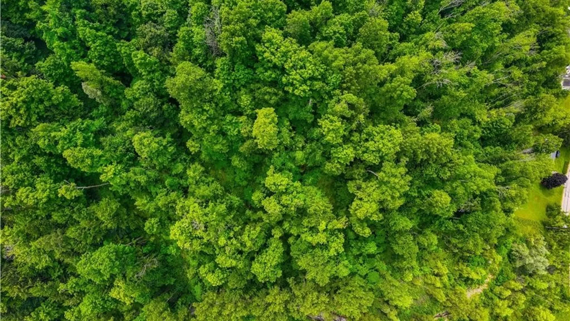 Property at 3883 State Route 28, Herkimer, NY 13350 40