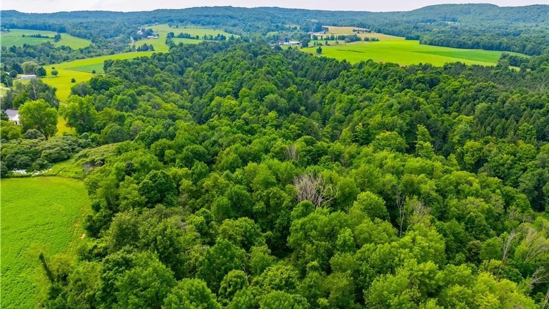 Property at 3883 State Route 28, Herkimer, NY 13350 41