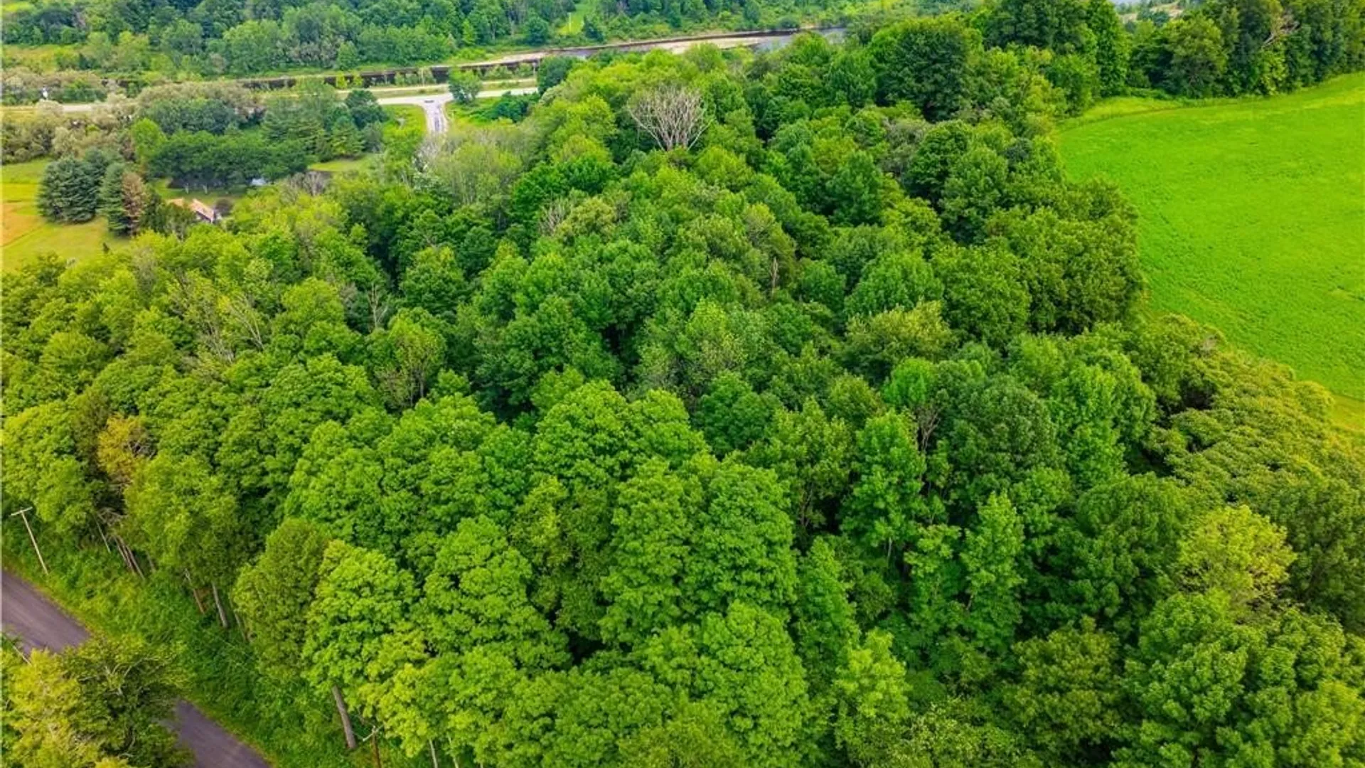 Property at 3883 State Route 28, Herkimer, NY 13350 43