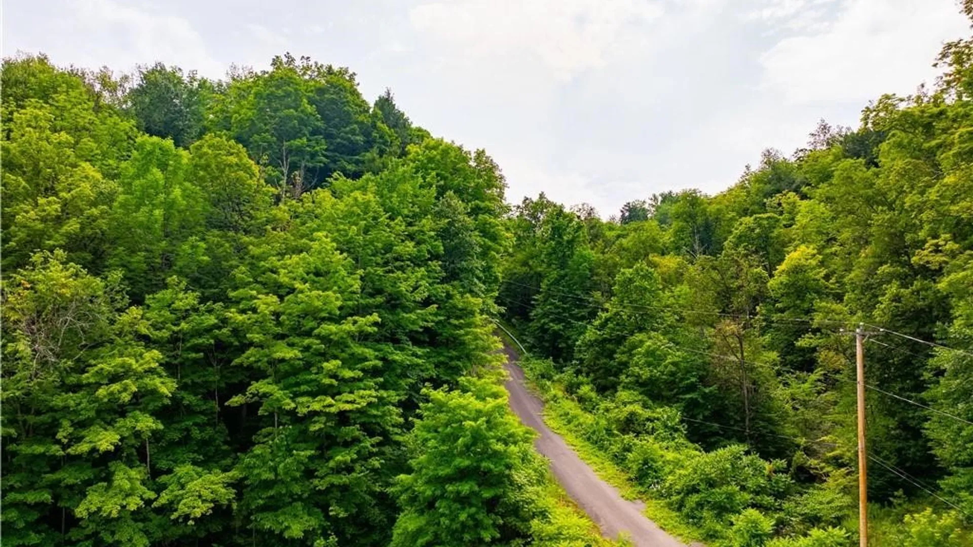 Property at 3883 State Route 28, Herkimer, NY 13350 48