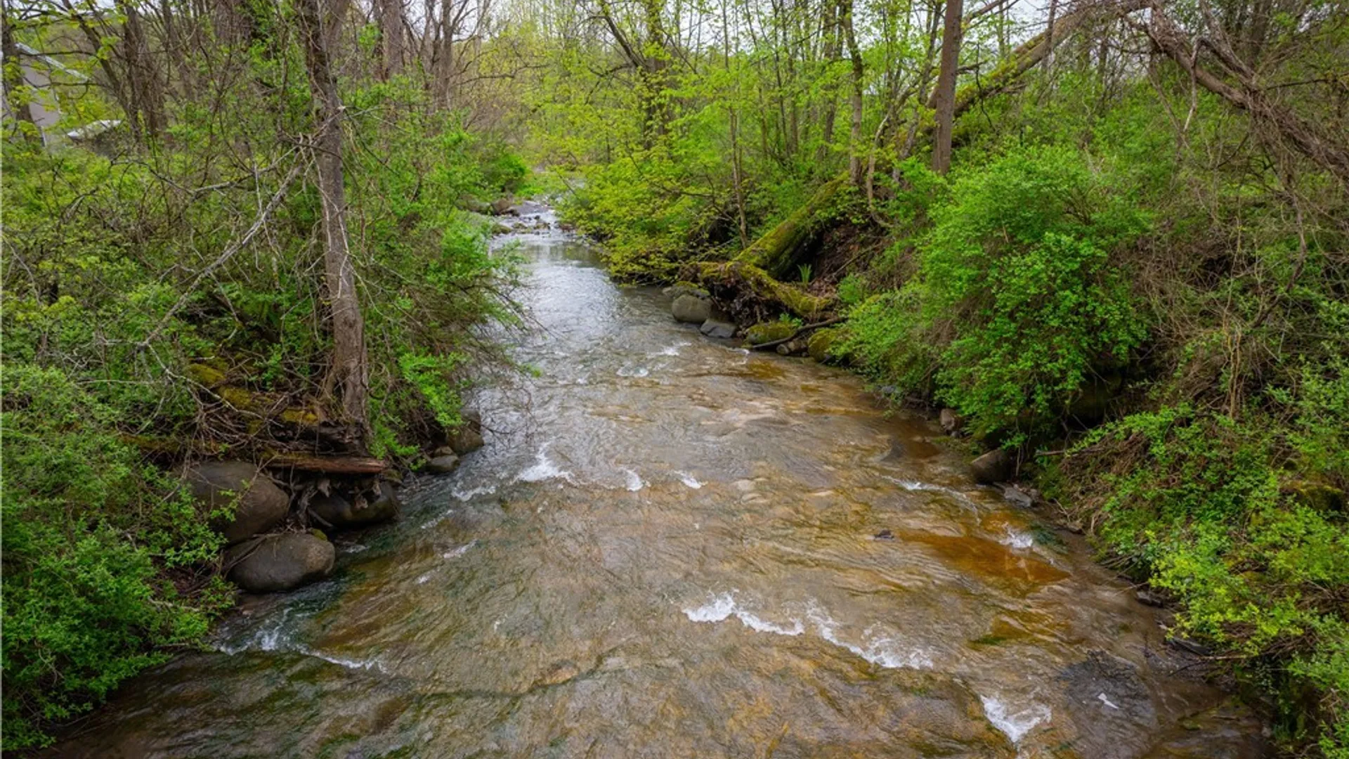 Property at 3883 State Route 28, Herkimer, NY 13350 5