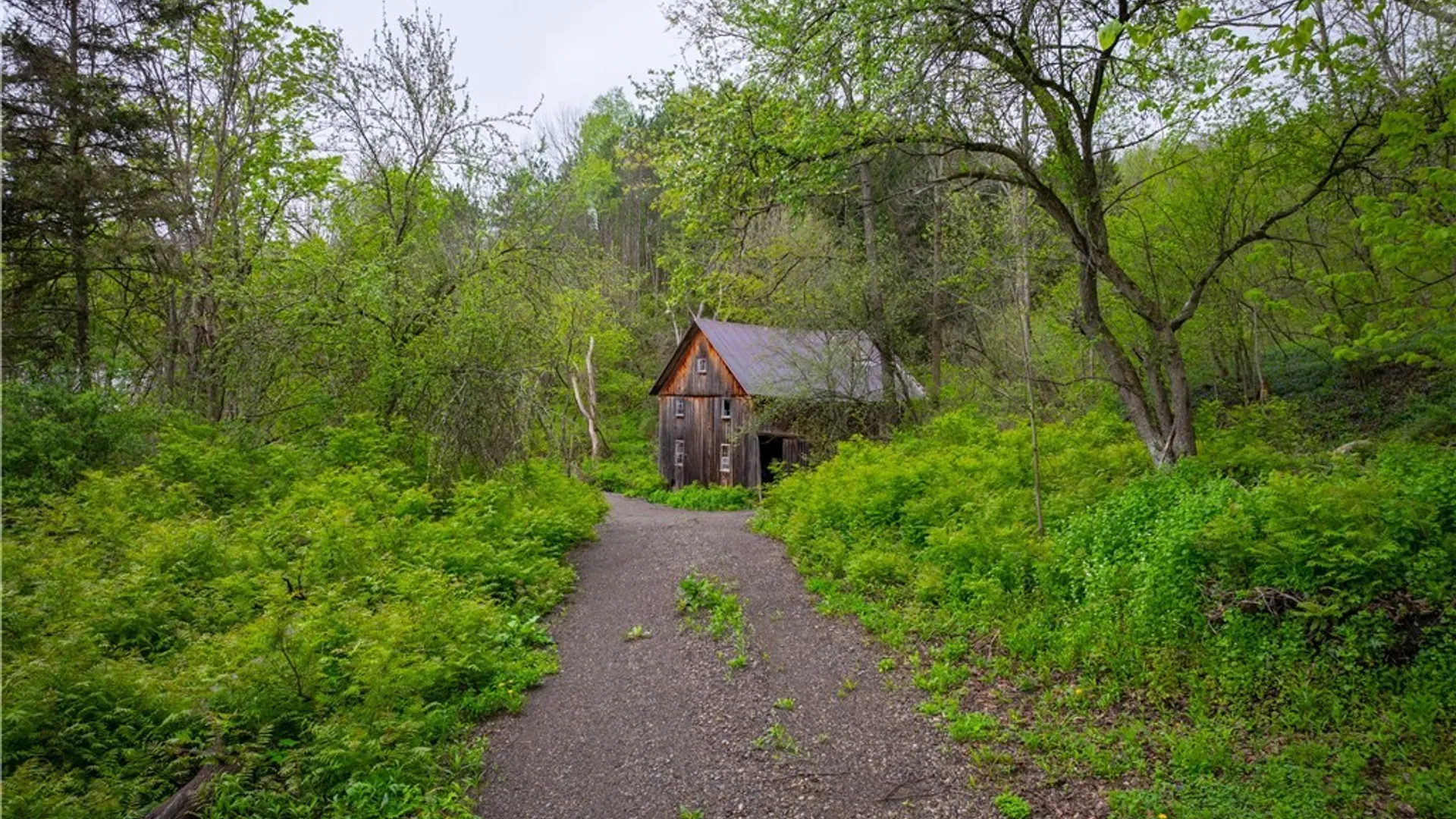 Property at 3883 State Route 28, Herkimer, NY 13350 9