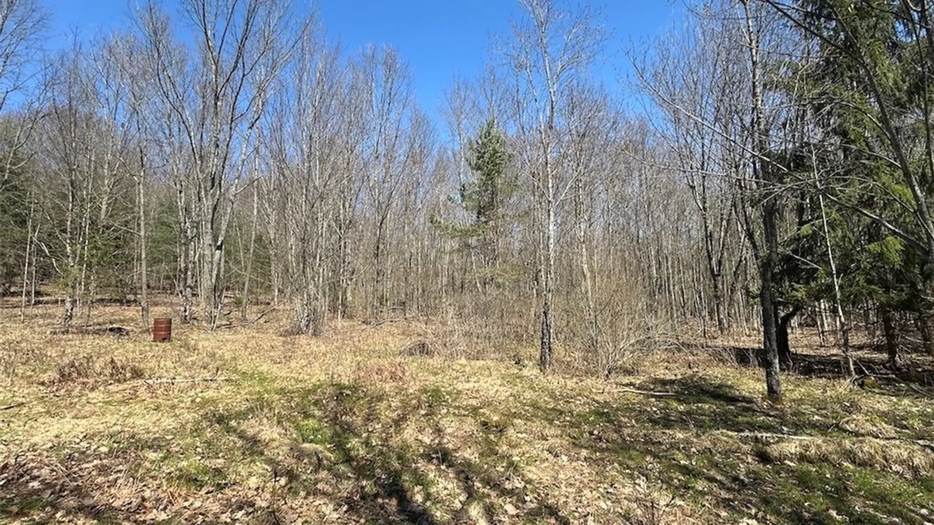 Property at 4319 Steenrod Road, Friendship, NY 14739 23