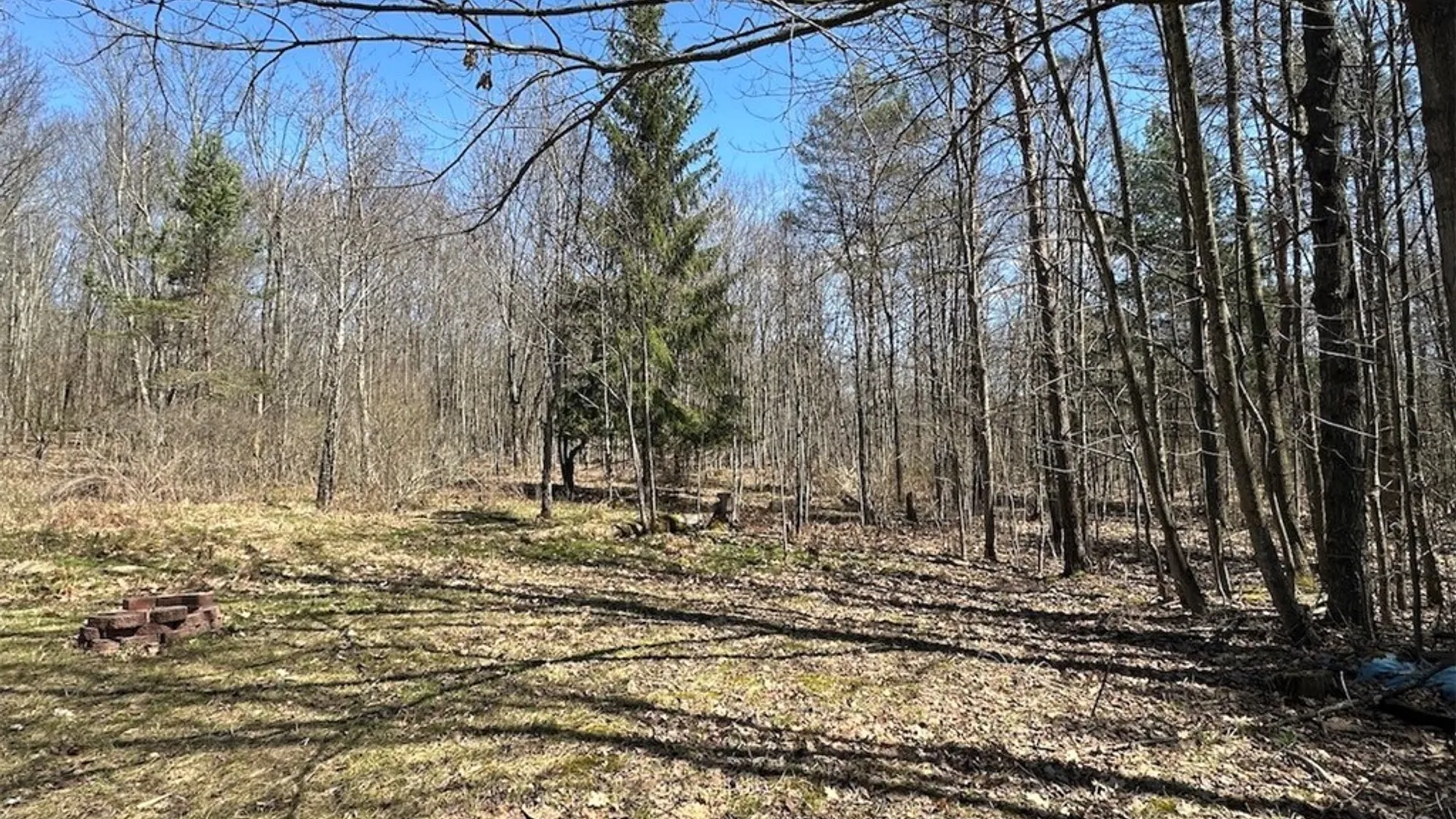 Property at 4319 Steenrod Road, Friendship, NY 14739 24