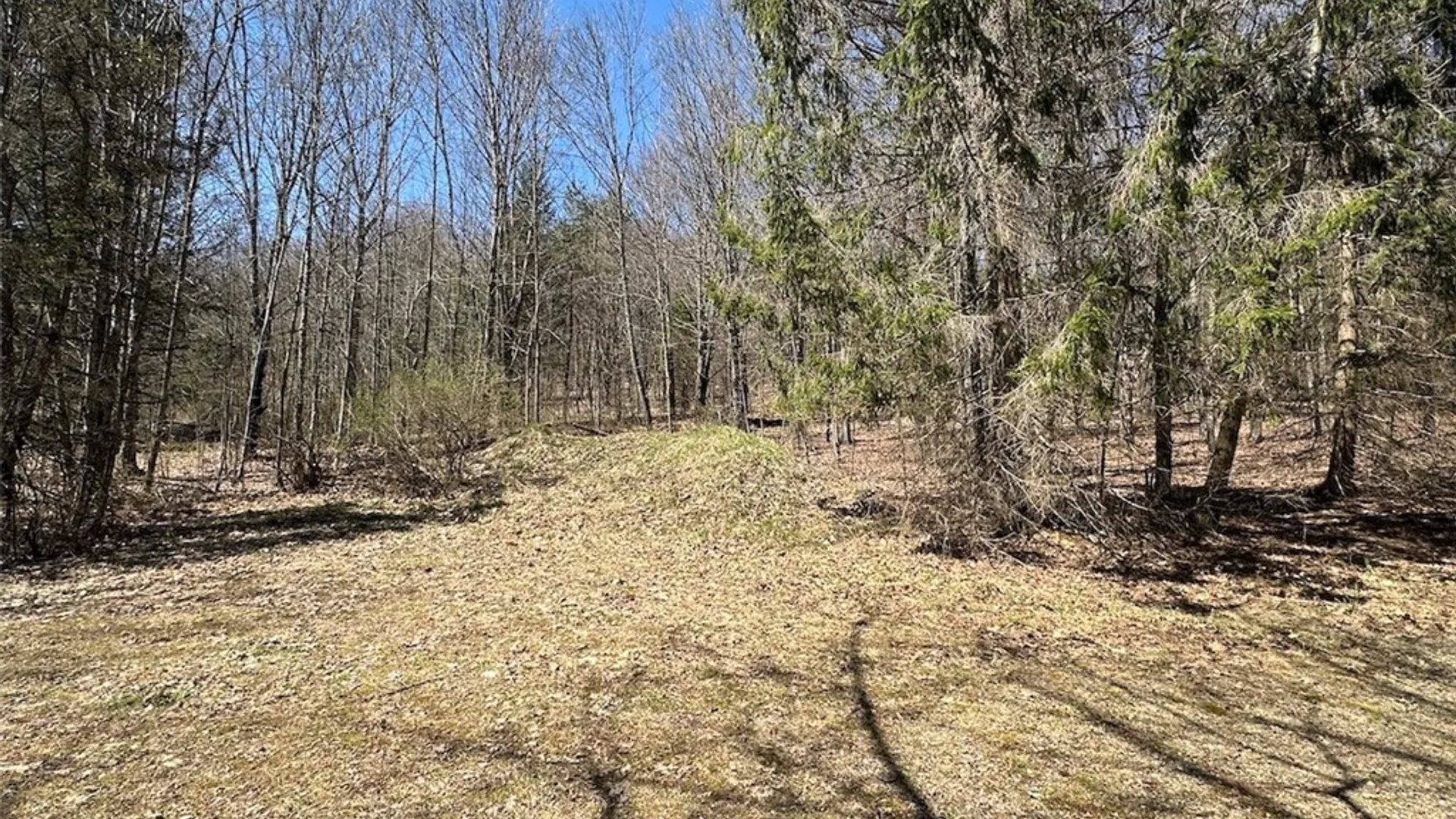 Property at 4319 Steenrod Road, Friendship, NY 14739 25