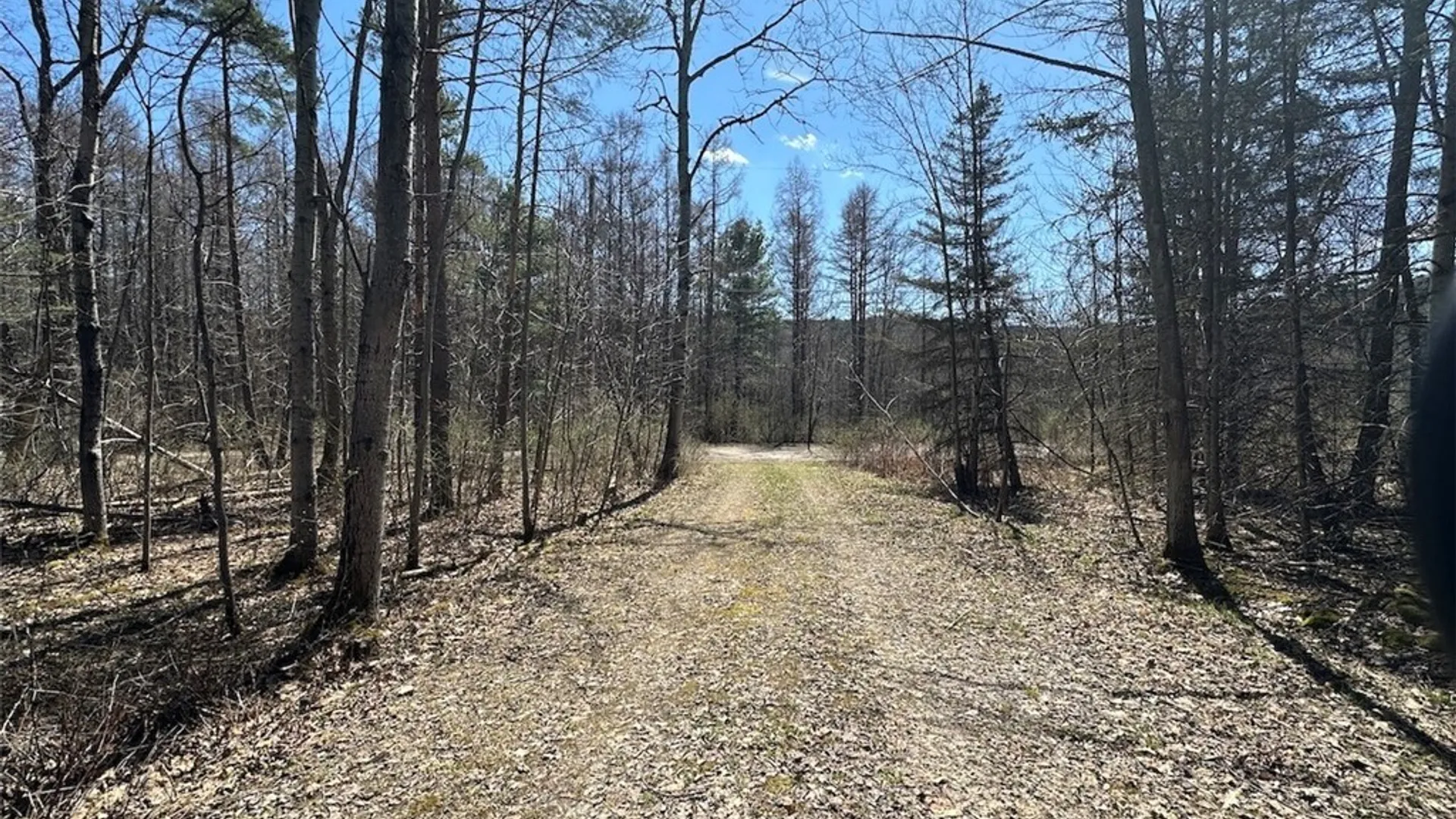 Property at 4319 Steenrod Road, Friendship, NY 14739 26