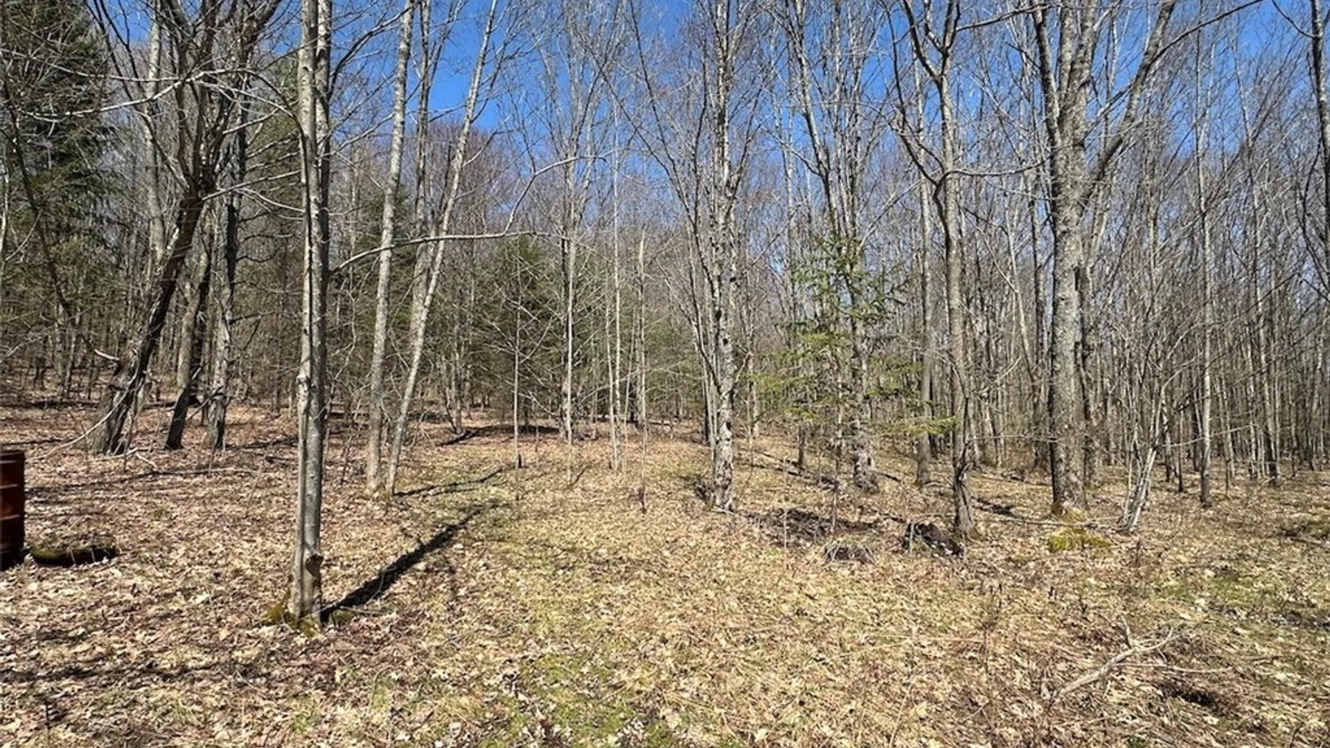 Property at 4319 Steenrod Road, Friendship, NY 14739 27