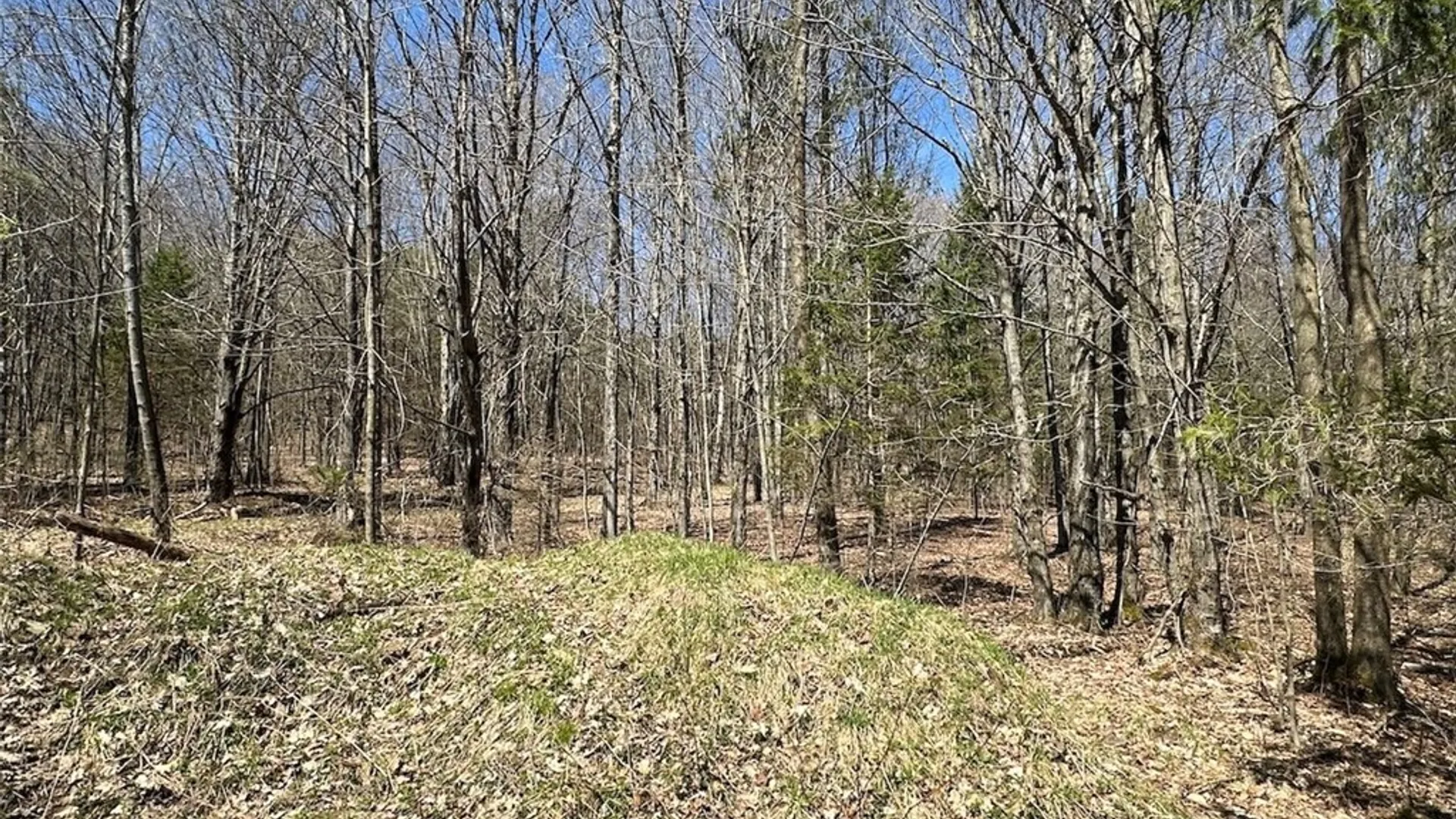 Property at 4319 Steenrod Road, Friendship, NY 14739 28