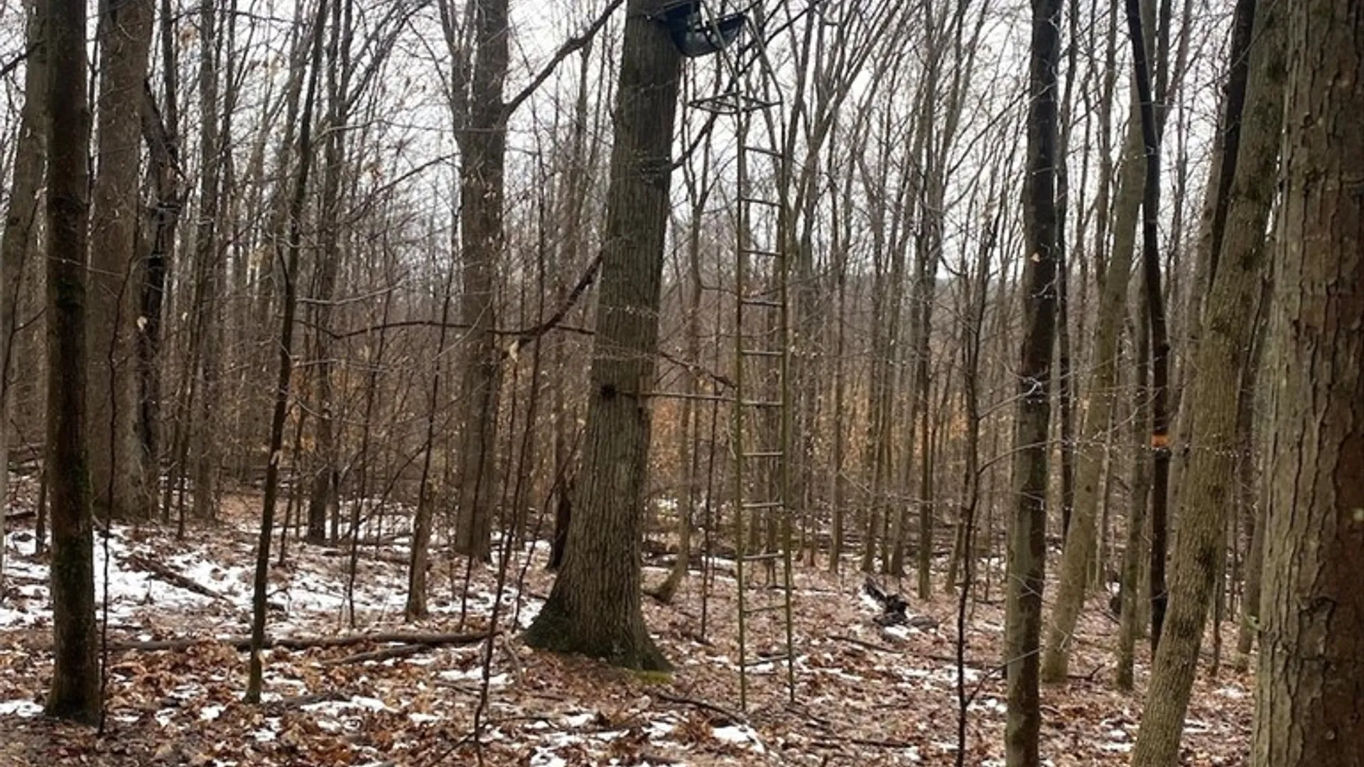 Property at 4319 Steenrod Road, Friendship, NY 14739 31