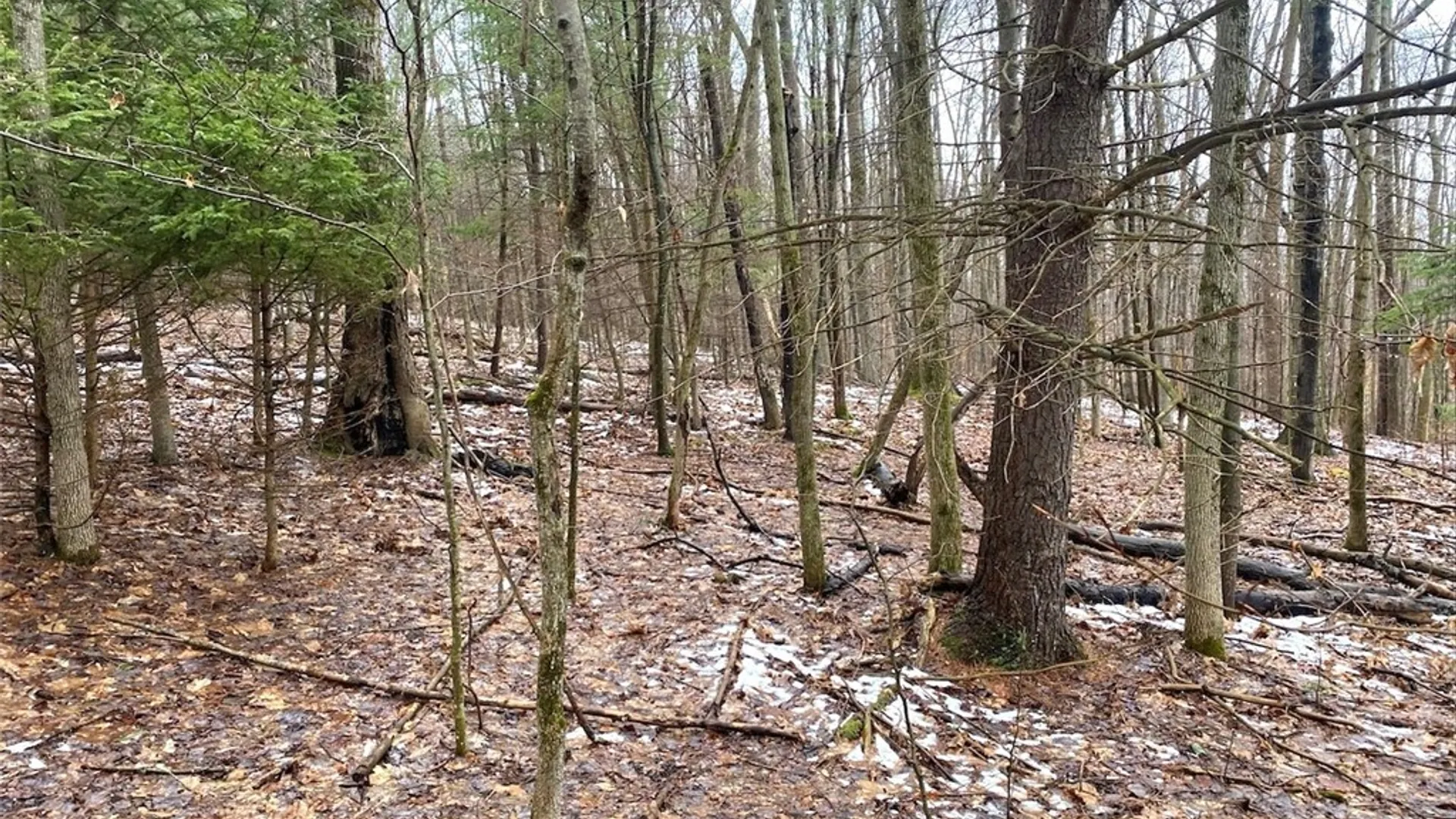 Property at 4319 Steenrod Road, Friendship, NY 14739 32