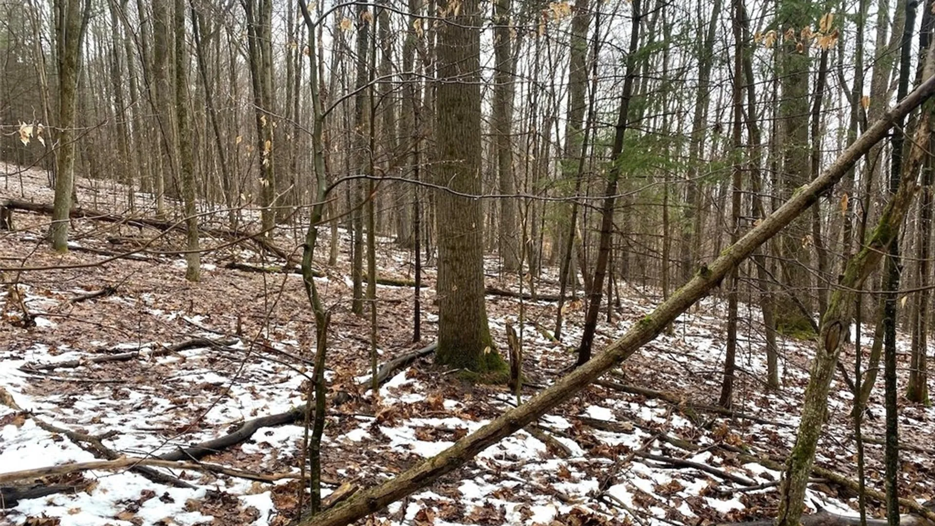 Property at 4319 Steenrod Road, Friendship, NY 14739 33