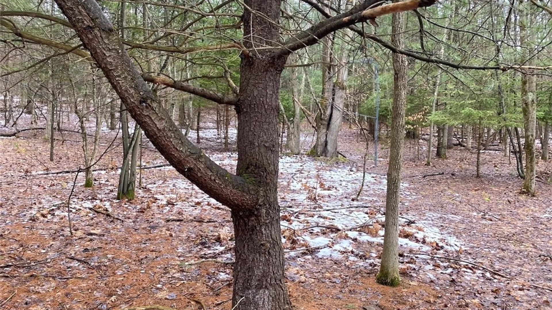 Property at 4319 Steenrod Road, Friendship, NY 14739 35