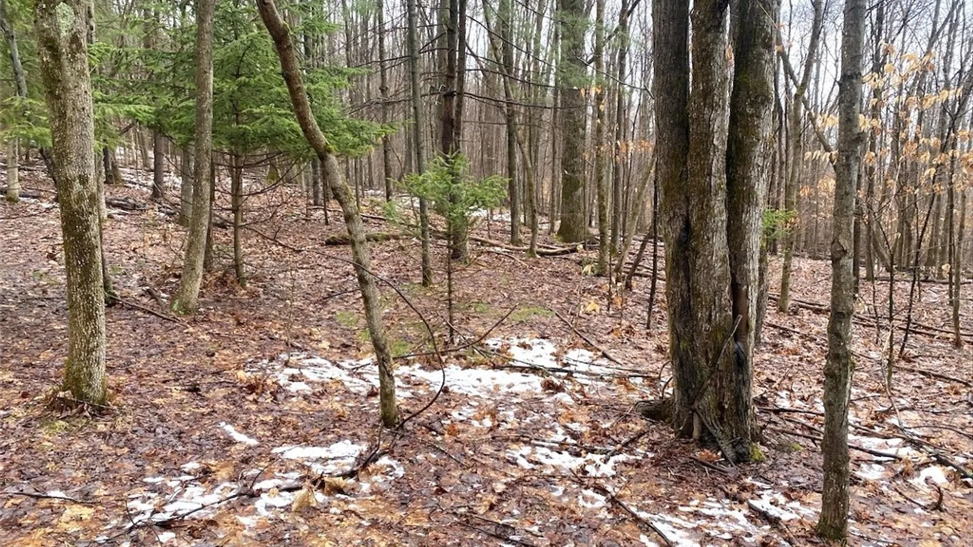 Property at 4319 Steenrod Road, Friendship, NY 14739 36