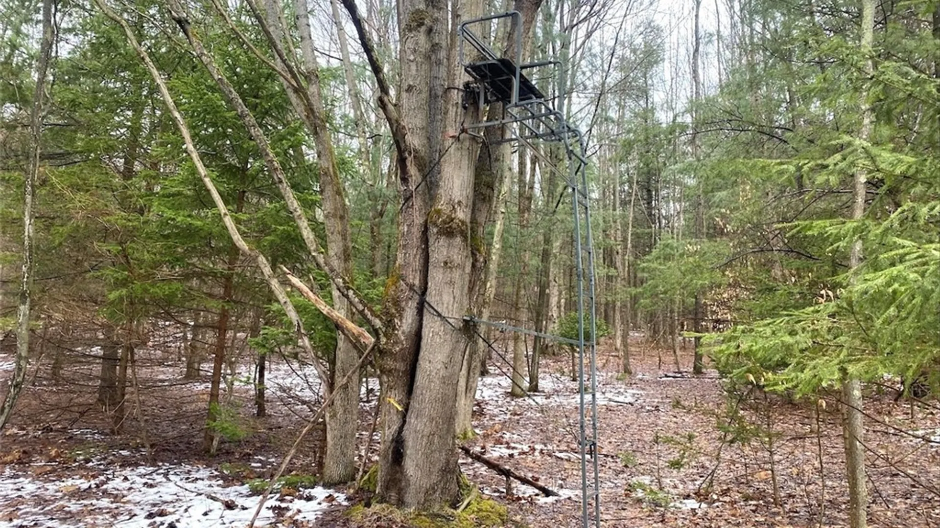 Property at 4319 Steenrod Road, Friendship, NY 14739 37