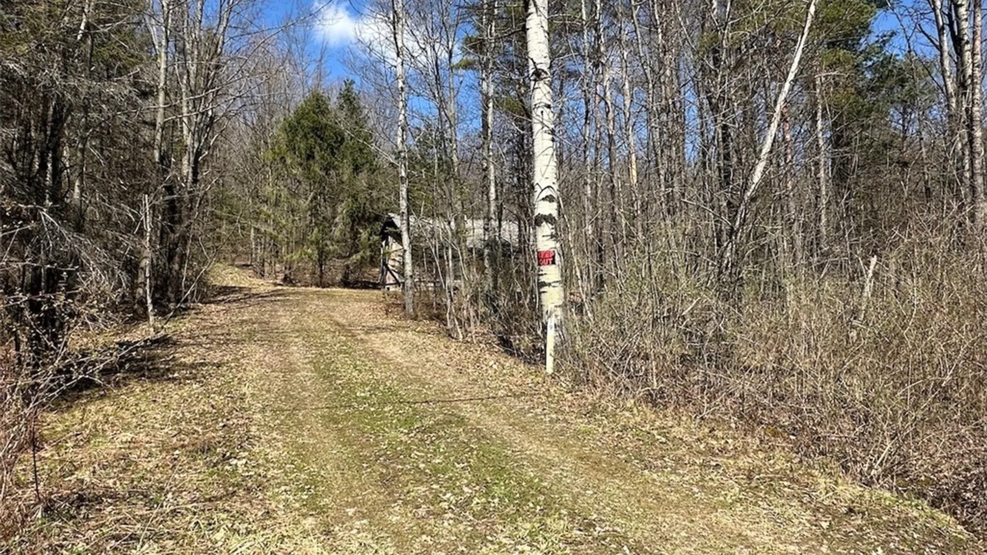 Property at 4319 Steenrod Road, Friendship, NY 14739 38