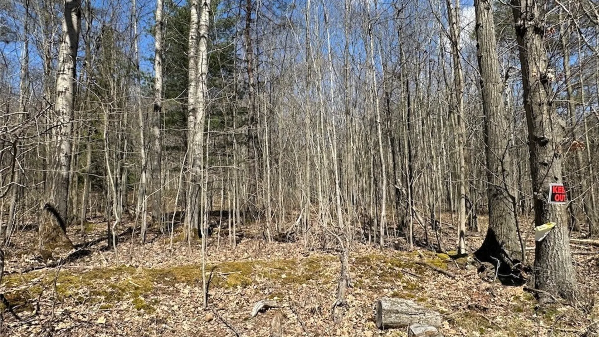 Property at 4319 Steenrod Road, Friendship, NY 14739 39