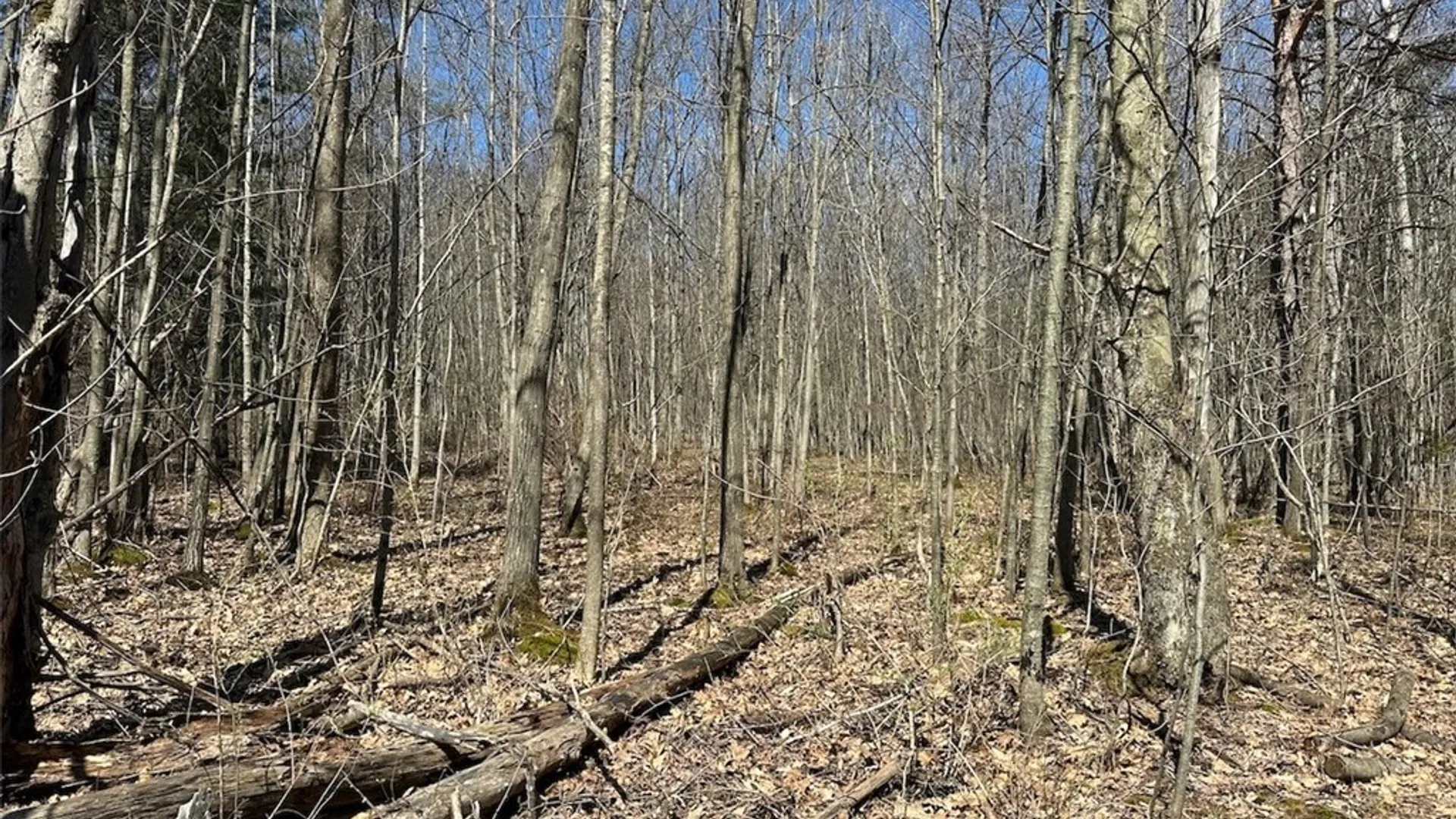 Property at 4319 Steenrod Road, Friendship, NY 14739 40