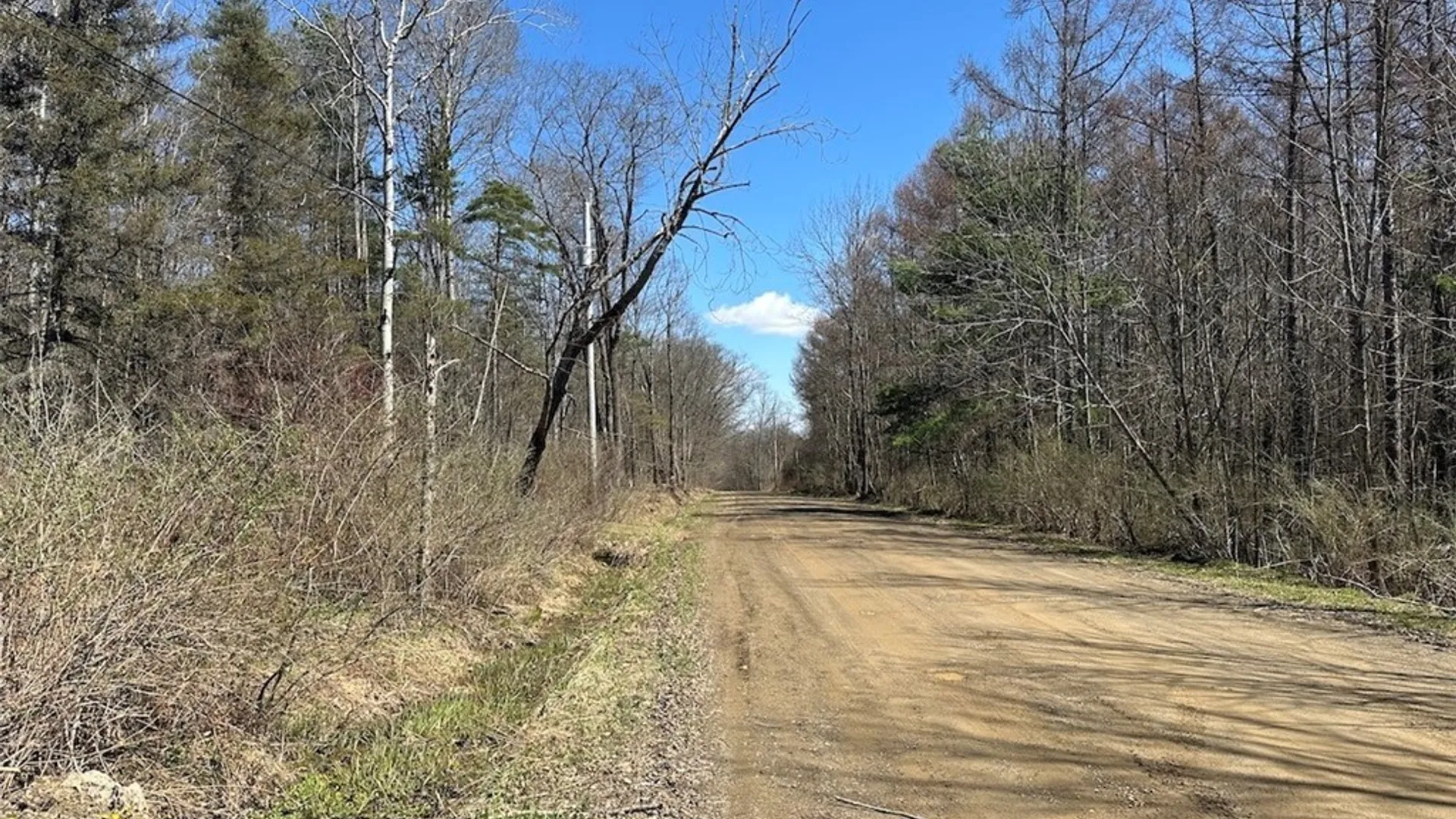 Property at 4319 Steenrod Road, Friendship, NY 14739 42