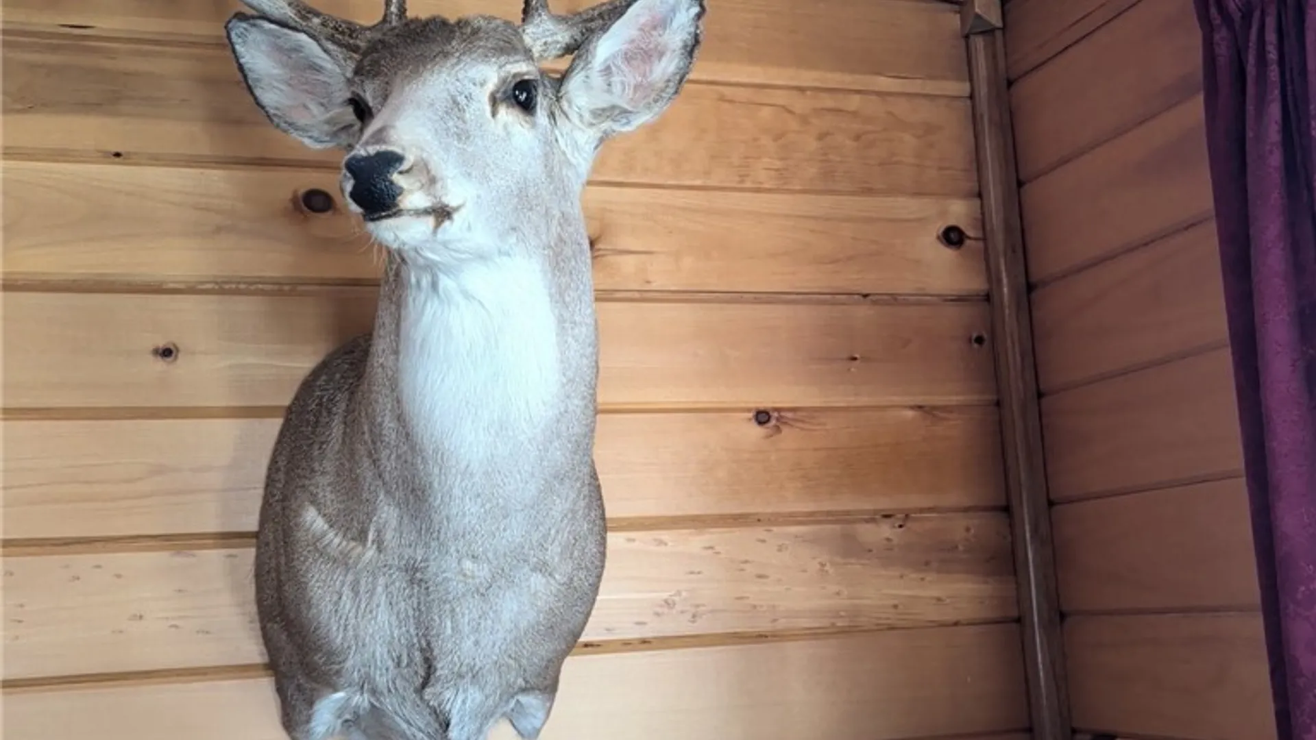 Property at 4319 Steenrod Road, Friendship, NY 14739 9