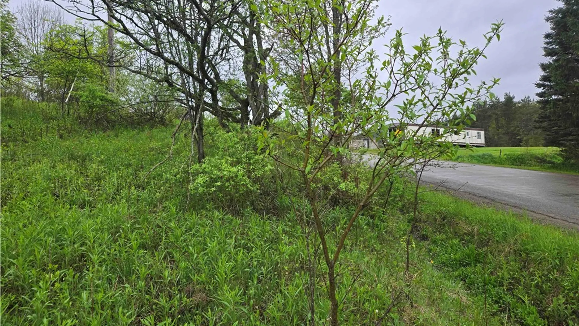 Property at Mead Hollow Road, Bolivar, NY 14754 15