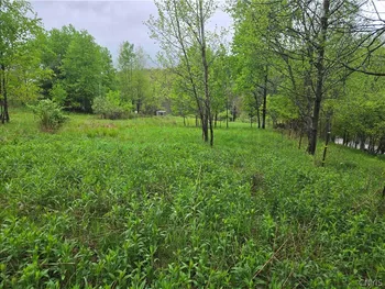 Property at Mead Hollow Road, Bolivar, NY 14754
