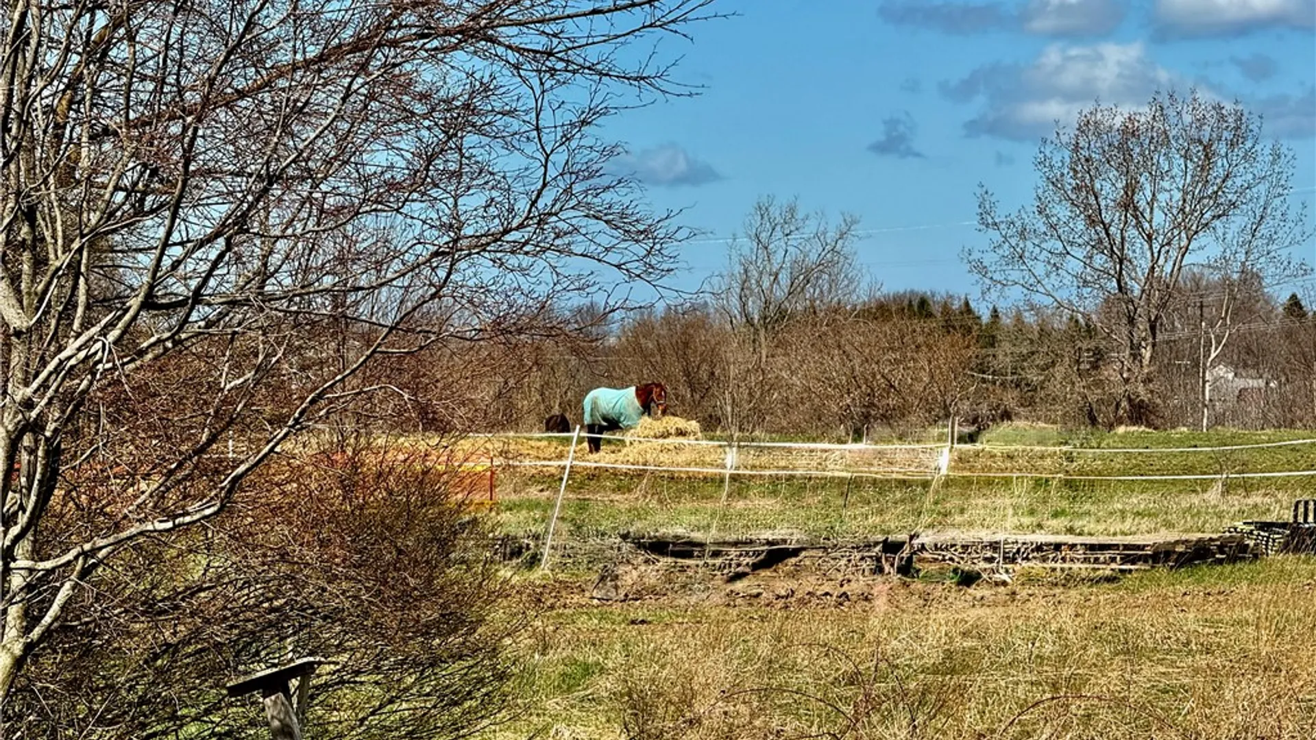 Property at 582 Brooks Road, Henrietta, NY 14586 15