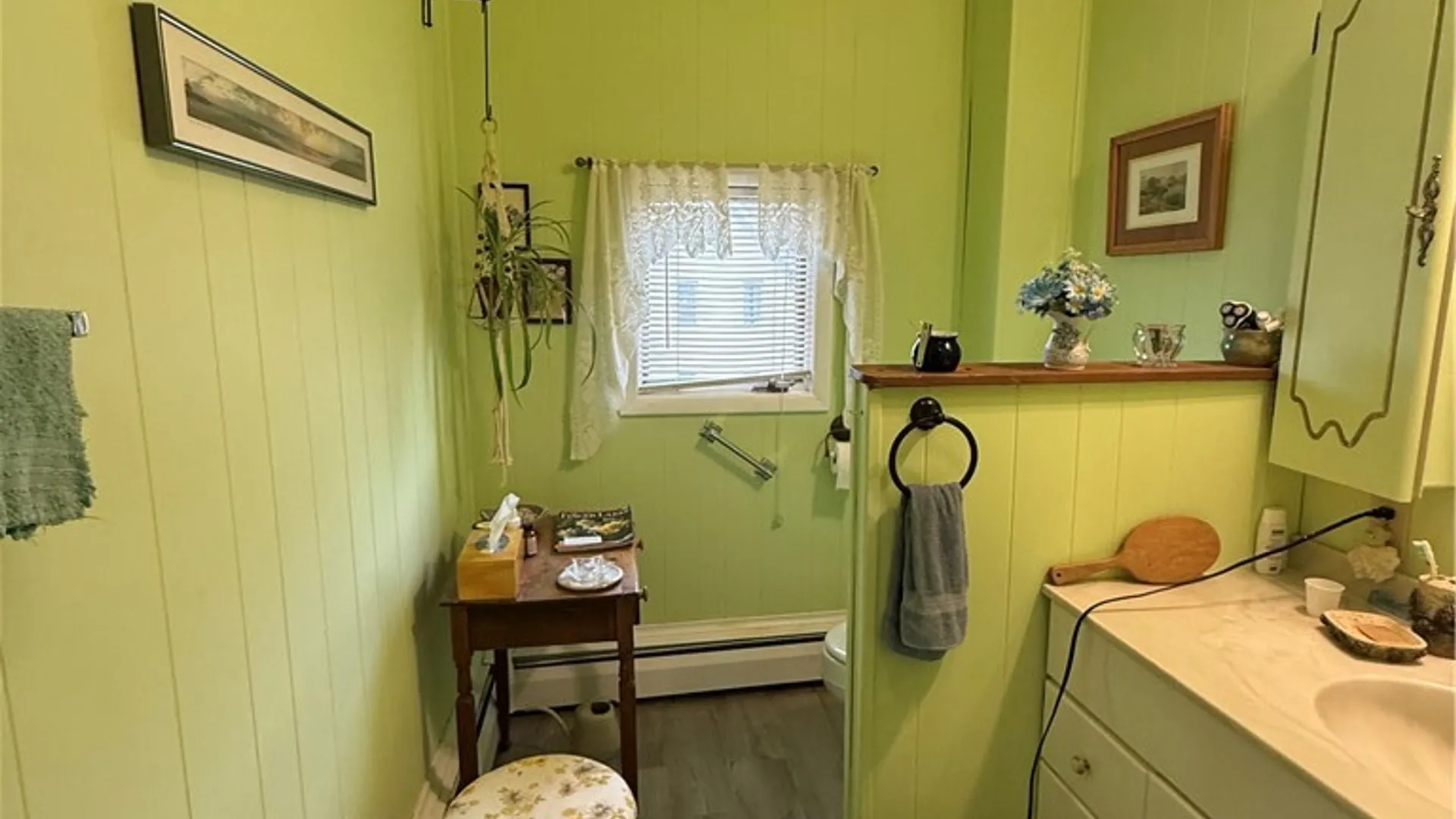 Property at 17 Main Street, Canisteo, NY 14823 18
