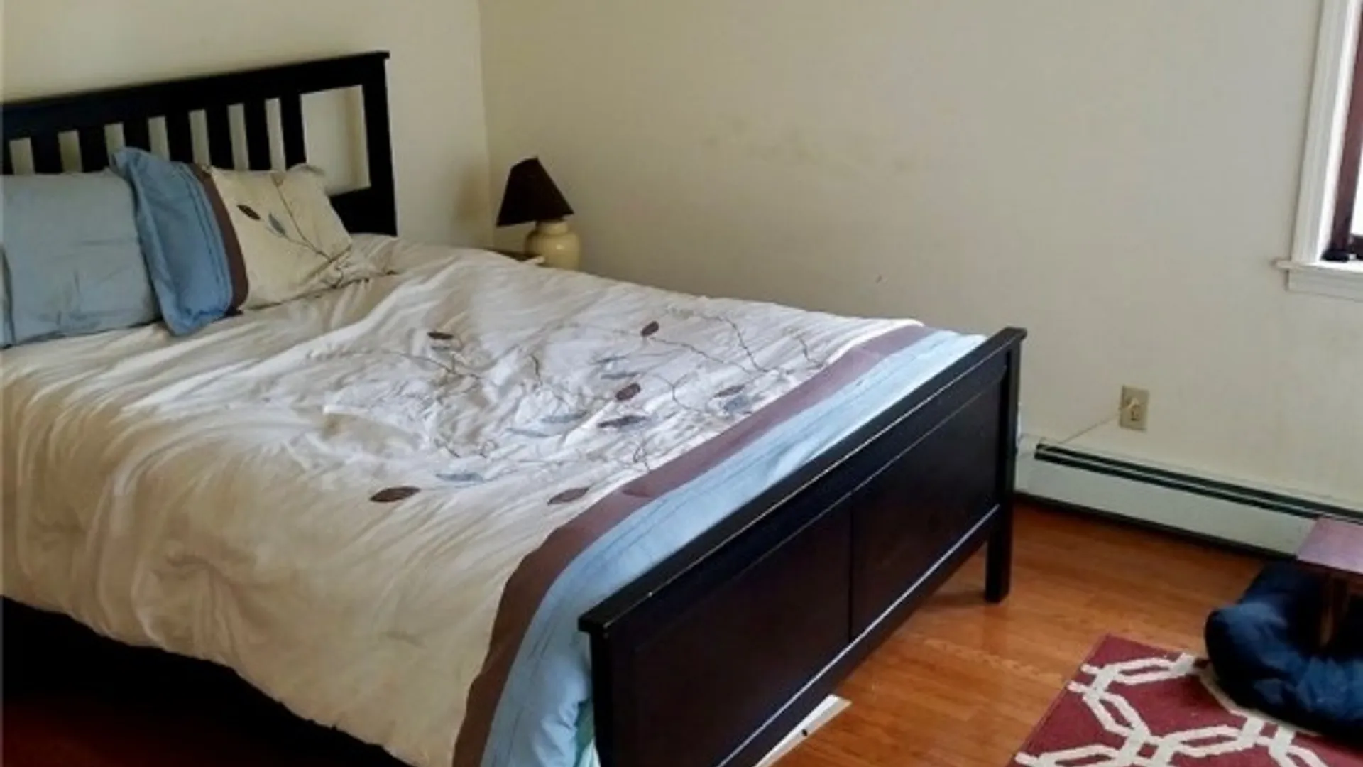 Property at 419 Albany Street, Ithaca City, NY 14850 11