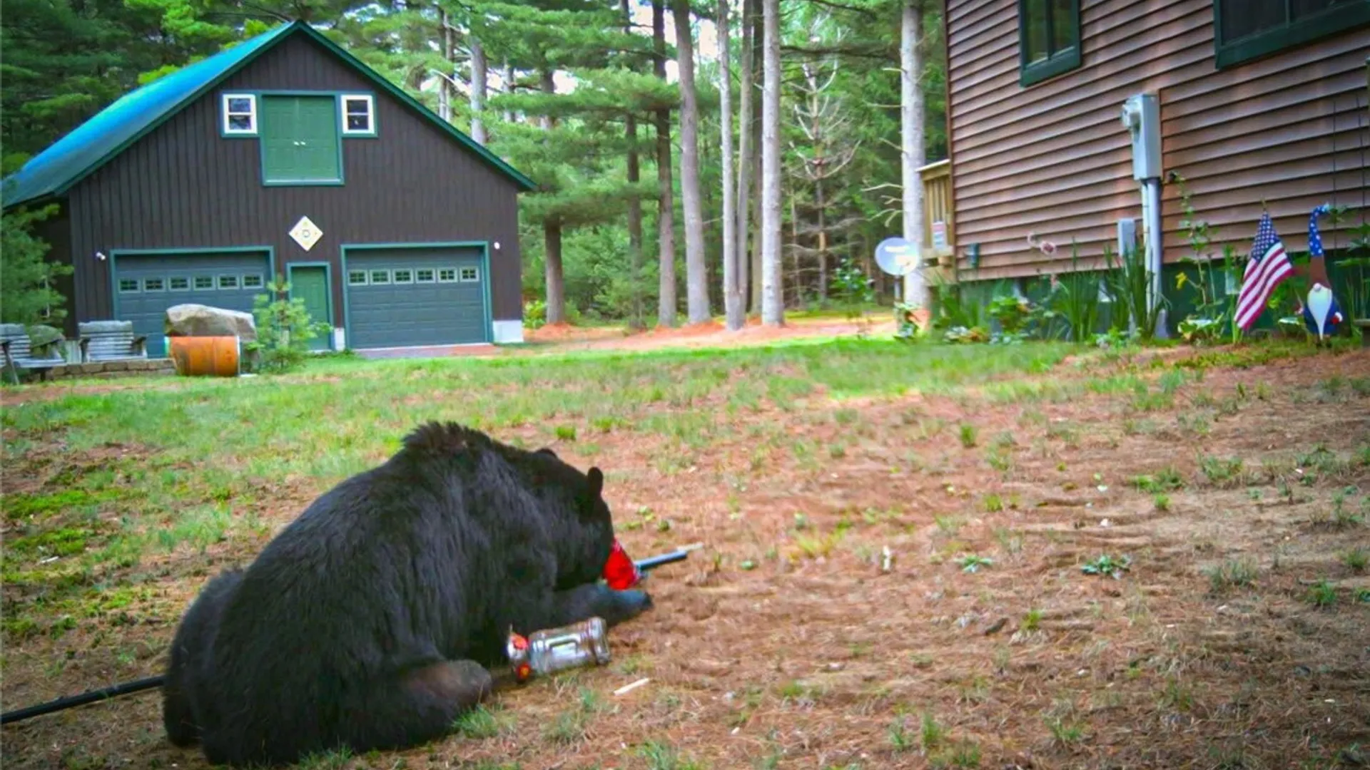 Property at 8155 Number Four Road, New Bremen, NY 13367 7