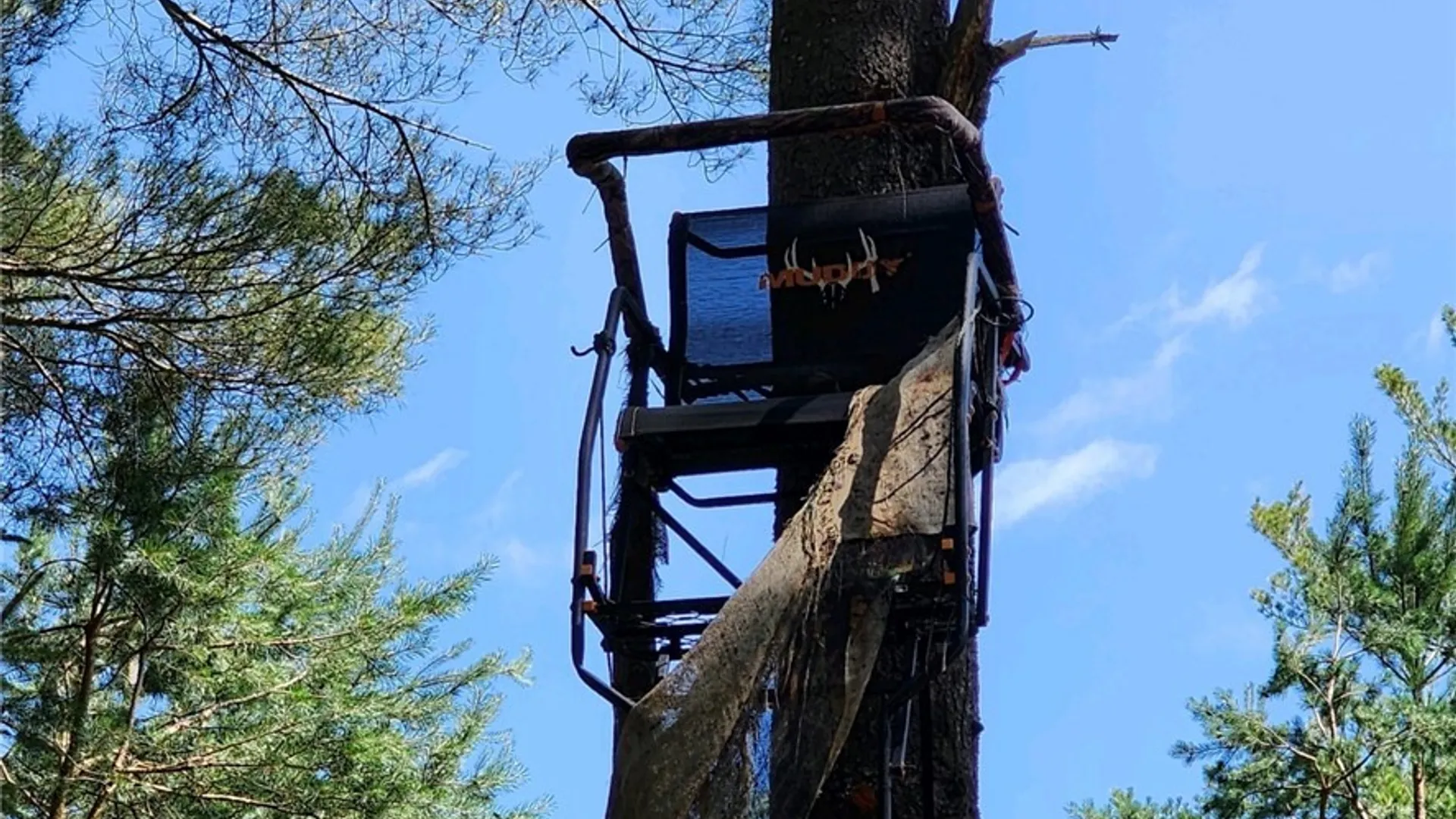 Property at 8155 Number Four Road, New Bremen, NY 13367 8