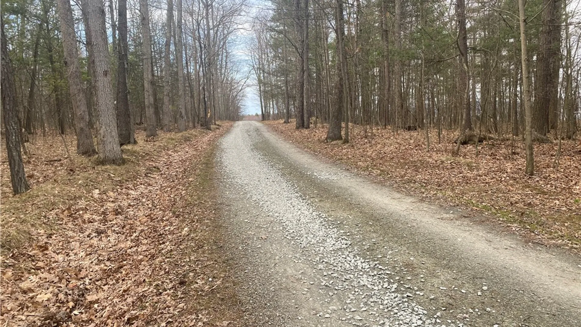 Property at 8675 Alderman Road, Wayne, NY 14840 36