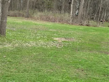 7356 Buckley Road, Clay, NY 13212